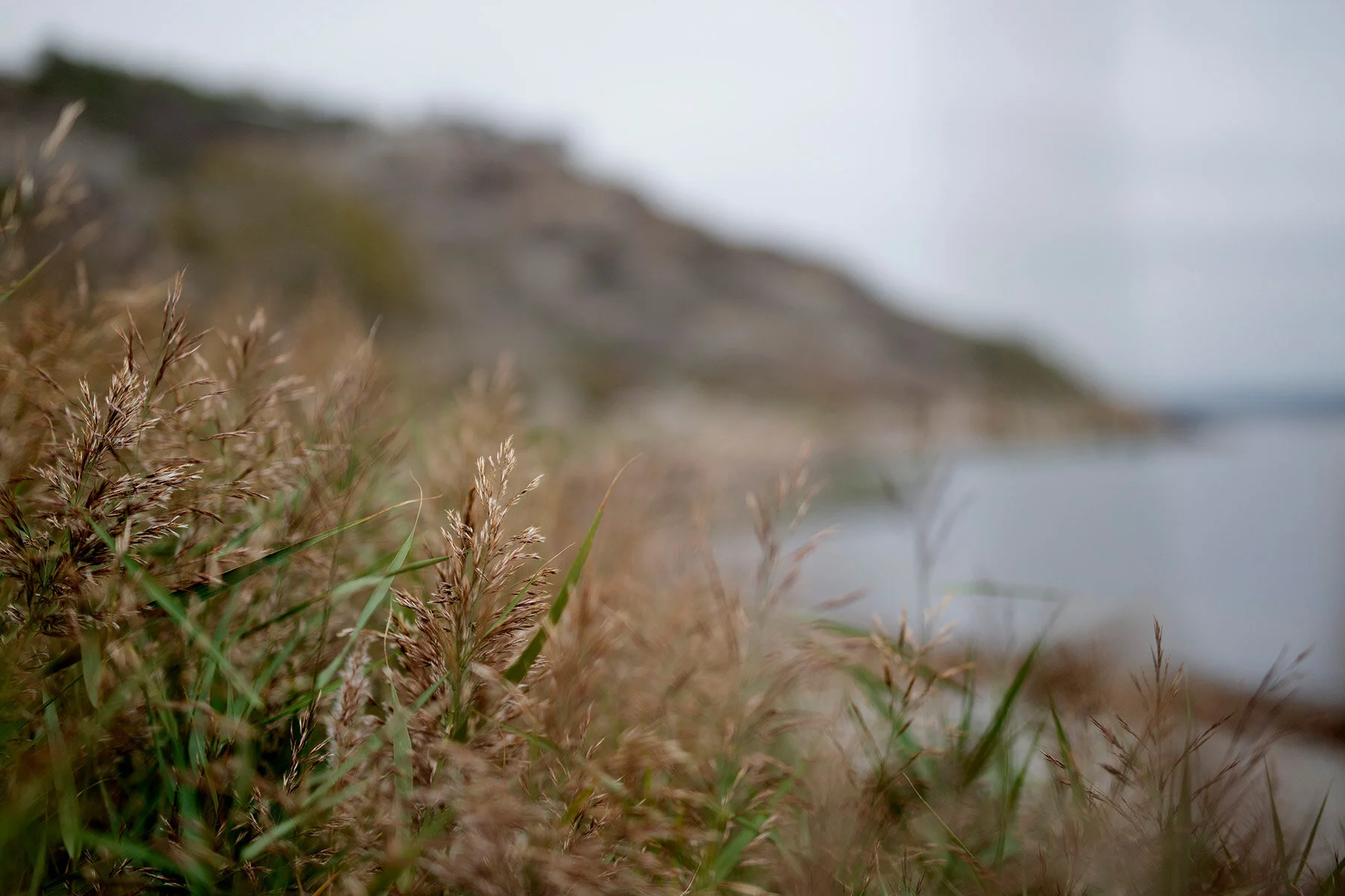 blogg-200920vikensanddamm28.jpg