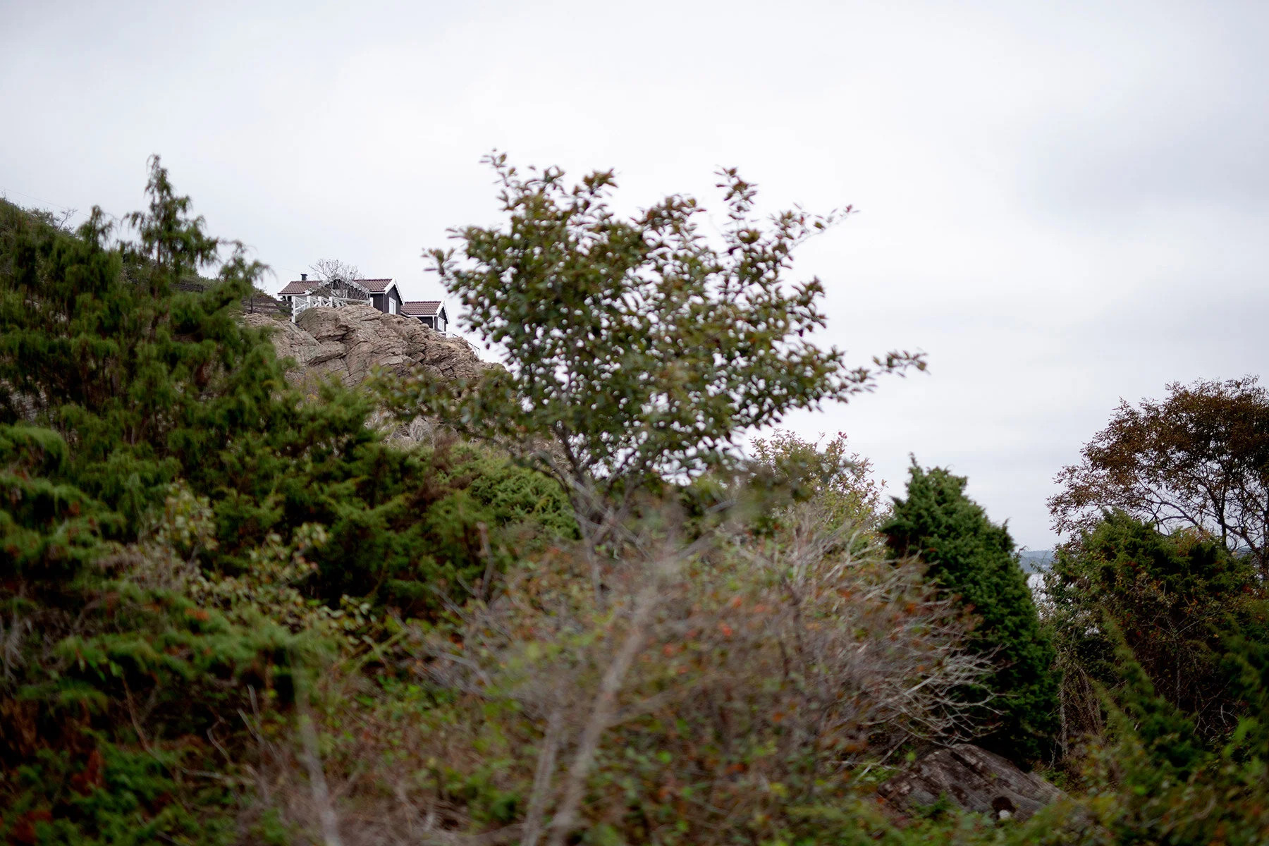 blogg-200920vikensanddamm40.jpg