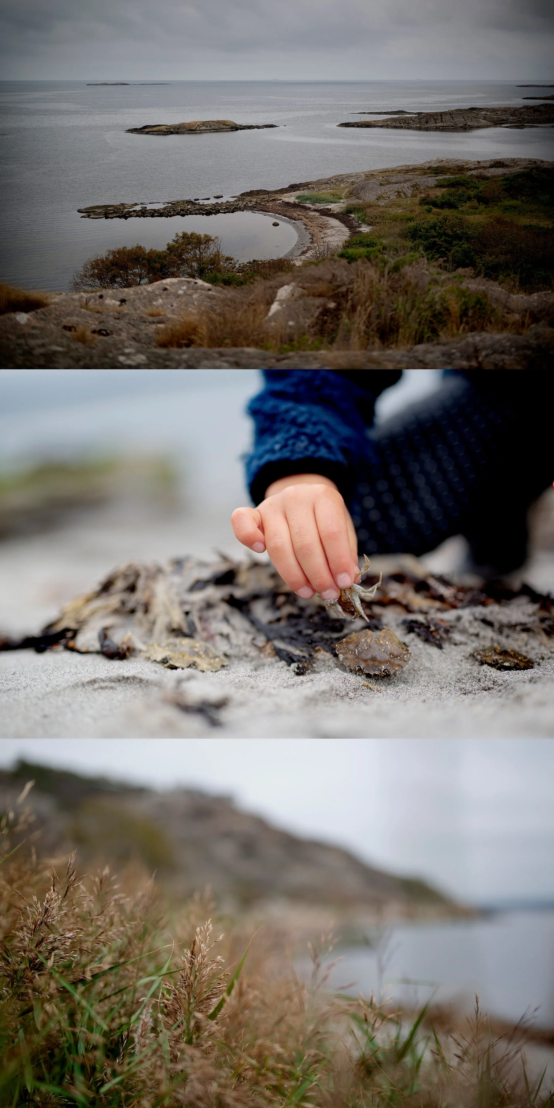 Viken i Sanddamm