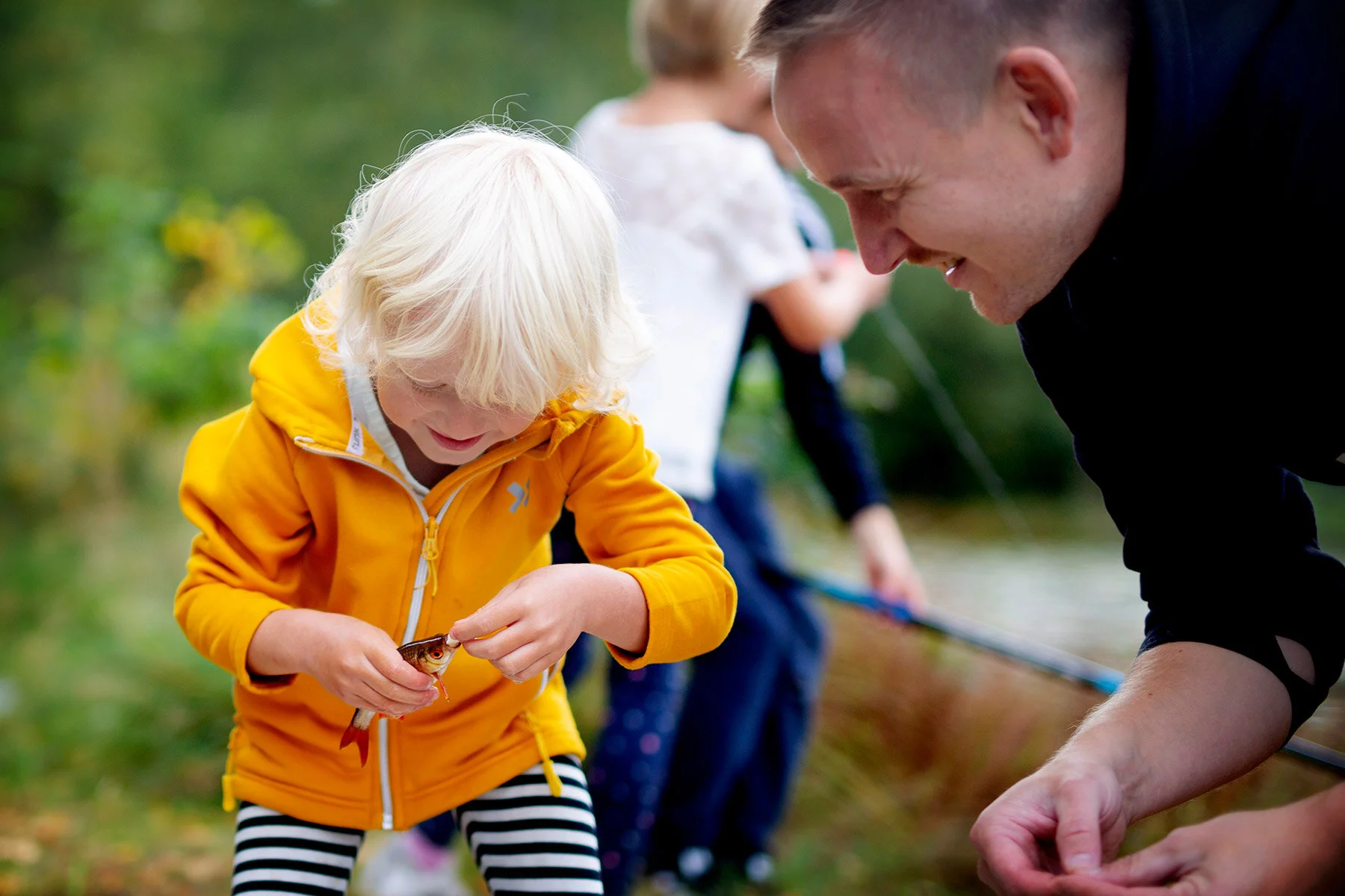 blogg-200926fiskamortidammen3.jpg