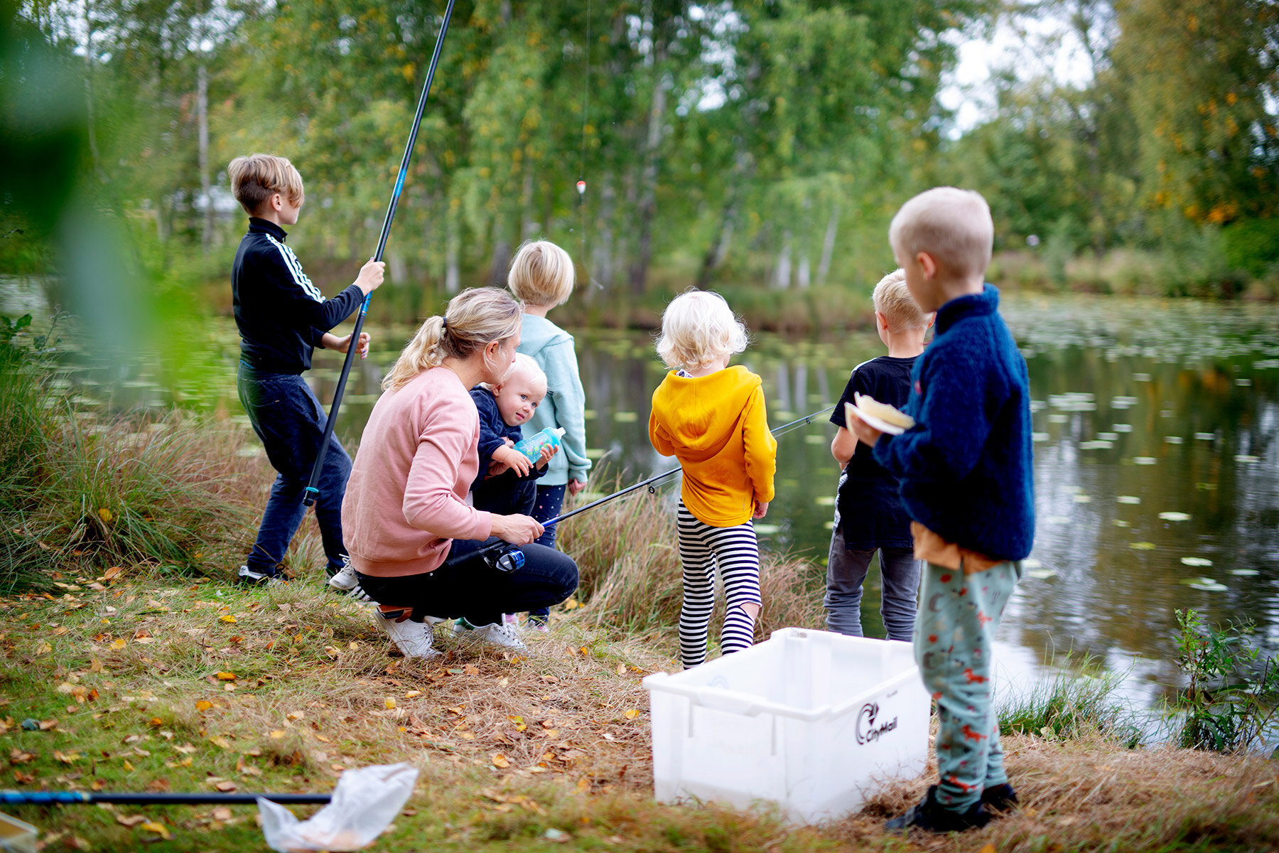 blogg-200926fiskamortidammen1.jpg