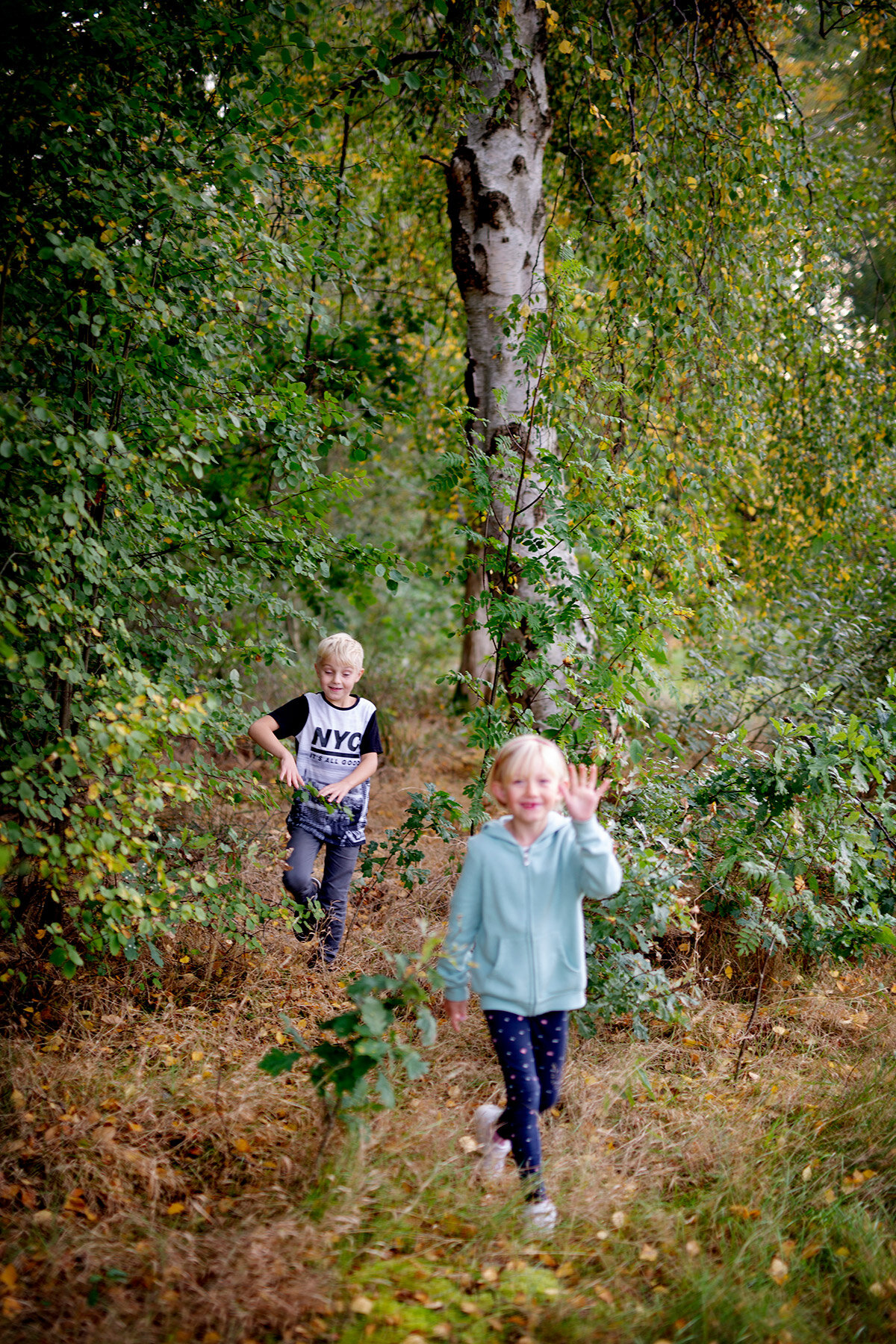blogg-200926fiskamortidammen10.jpg