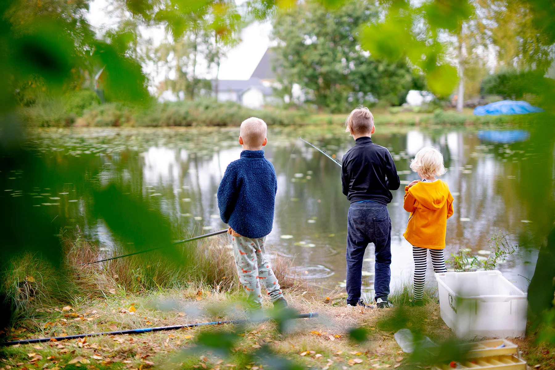 blogg-200926fiskamortidammen14.jpg
