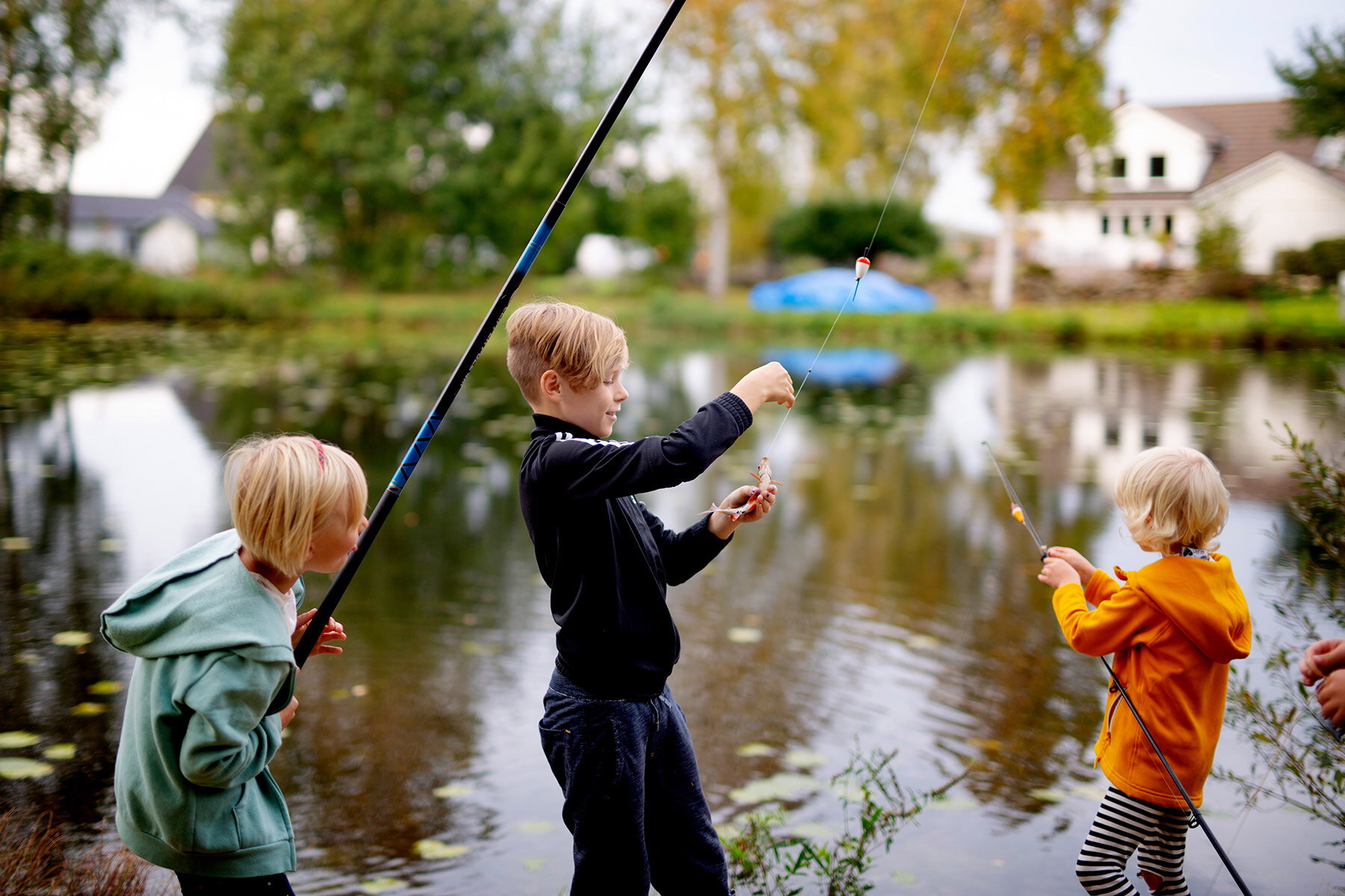 blogg-200926fiskamortidammen20.jpg