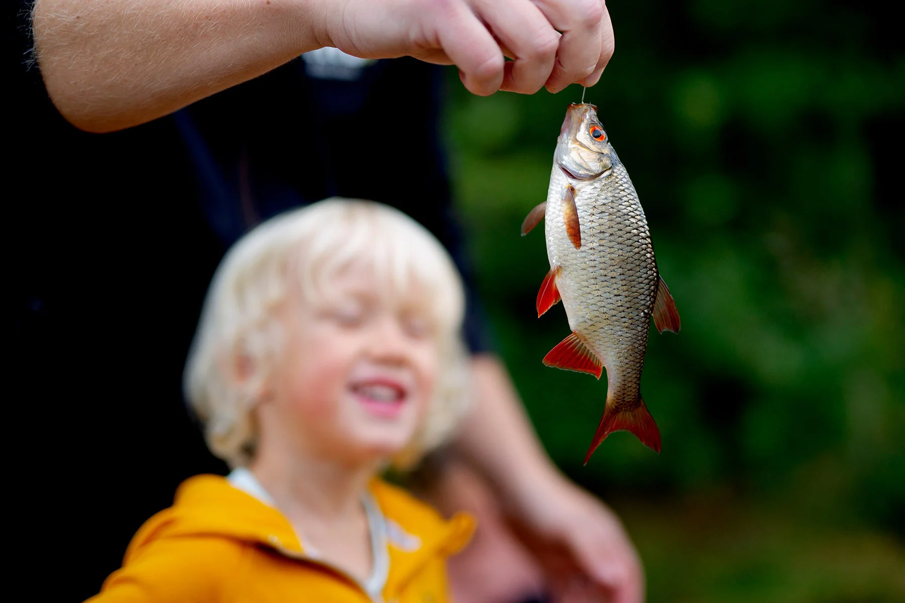 blogg-200926fiskamortidammen23.jpg