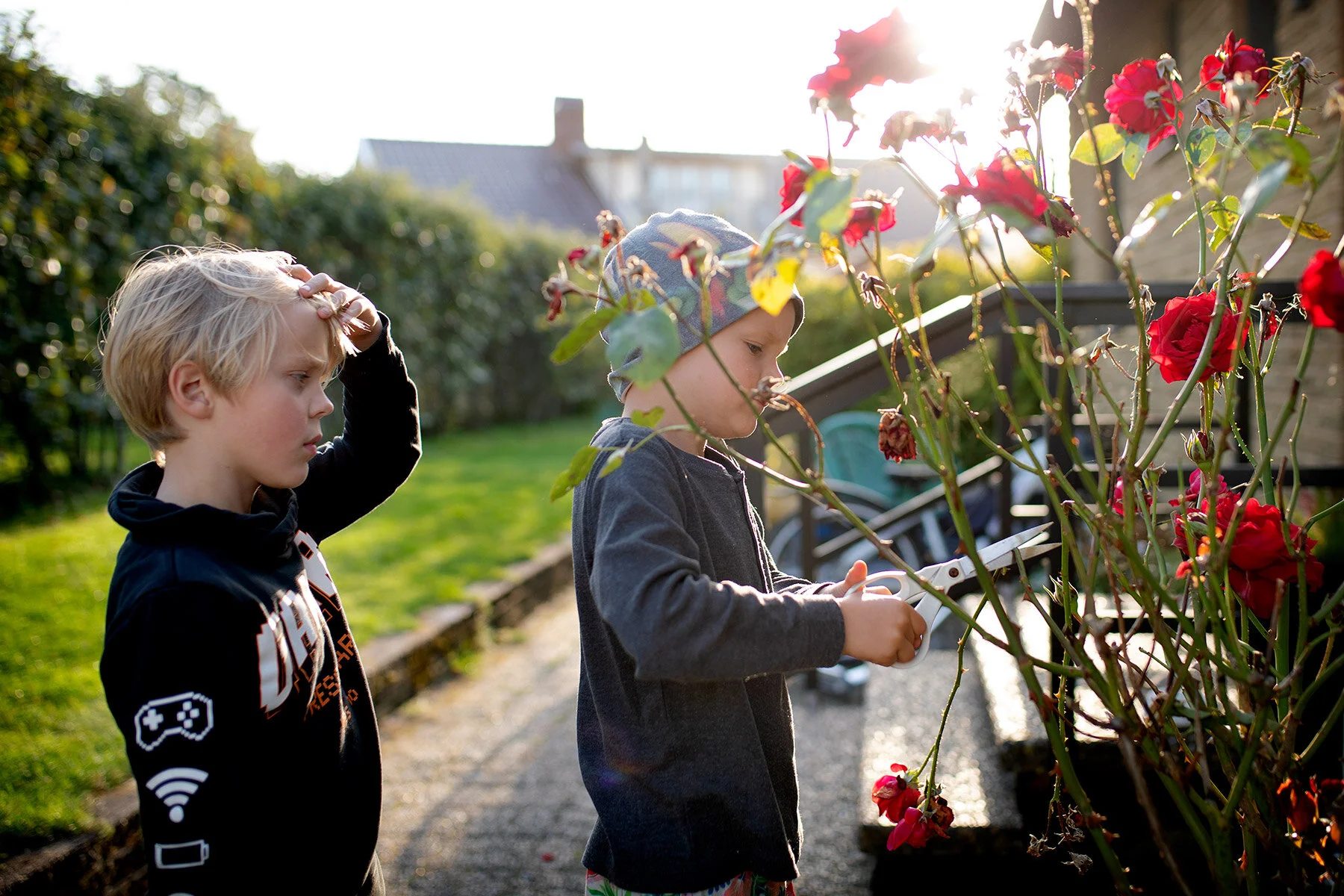 blogg-200210bertilaxelrosor2.jpg