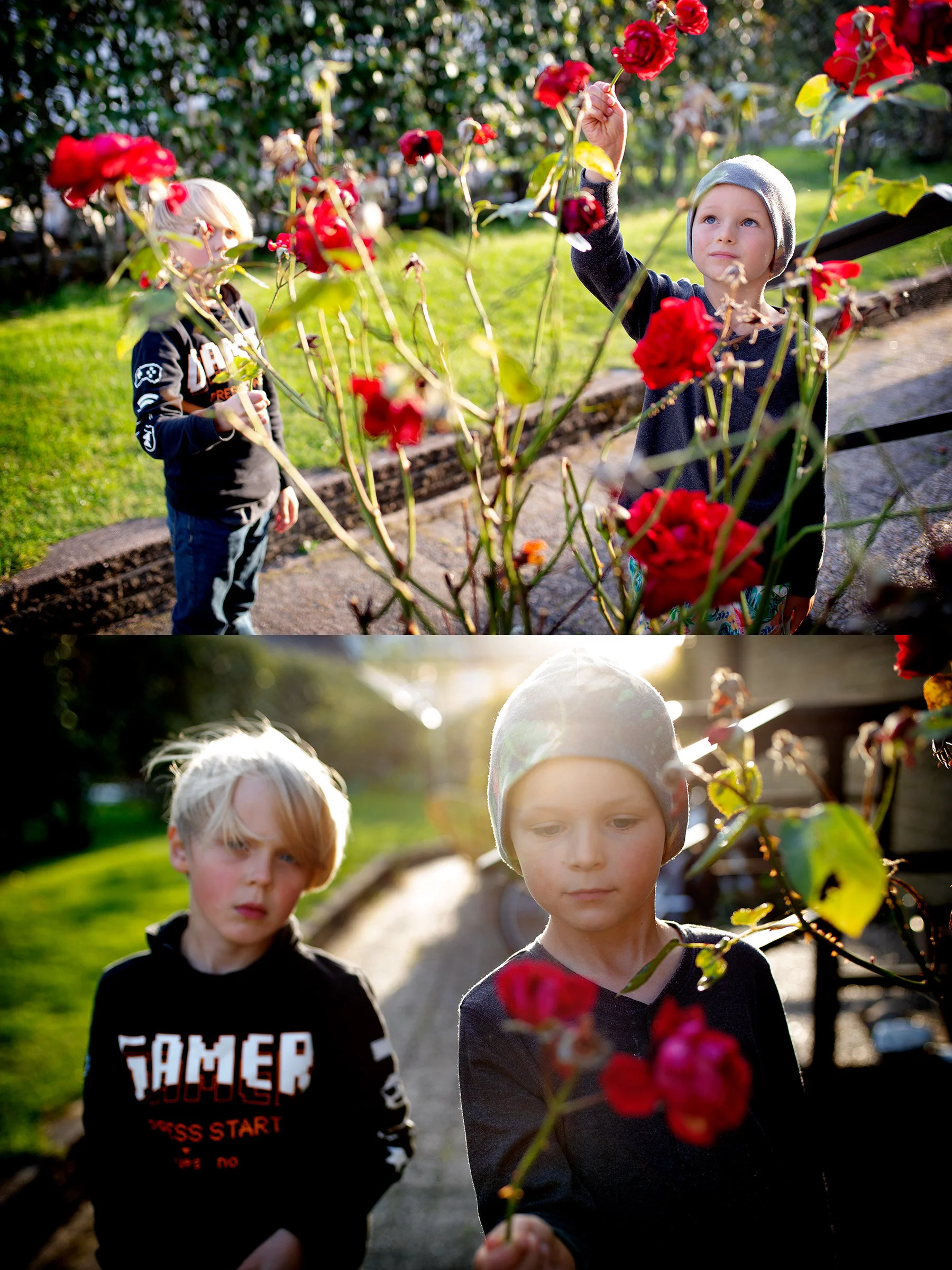 Välkommen oktober