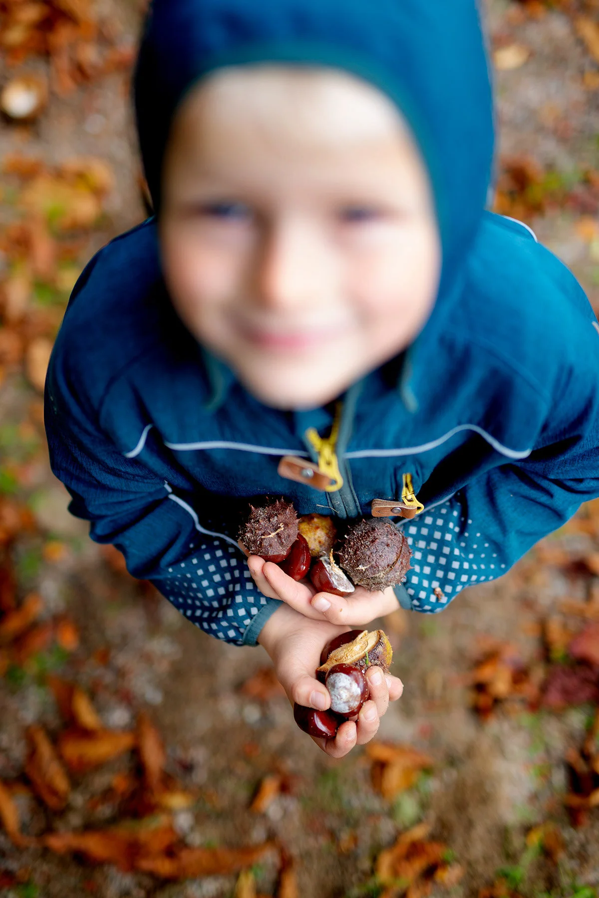 blogg-201006vablekplatsen9.jpg