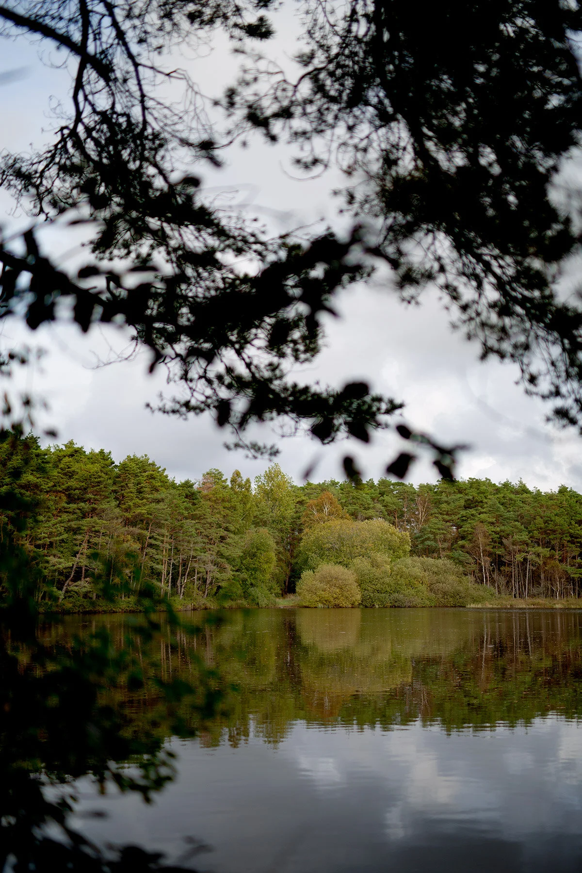 blogg-201008vabvindskyddet1.jpg