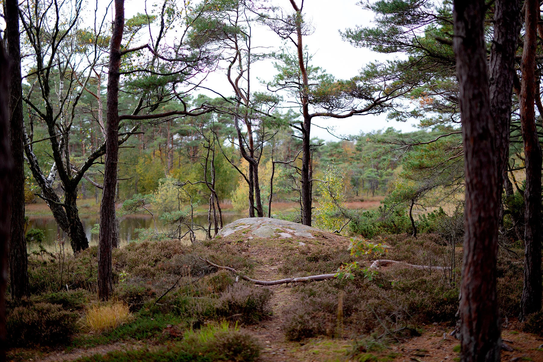 blogg-201008vabvindskyddet7.jpg