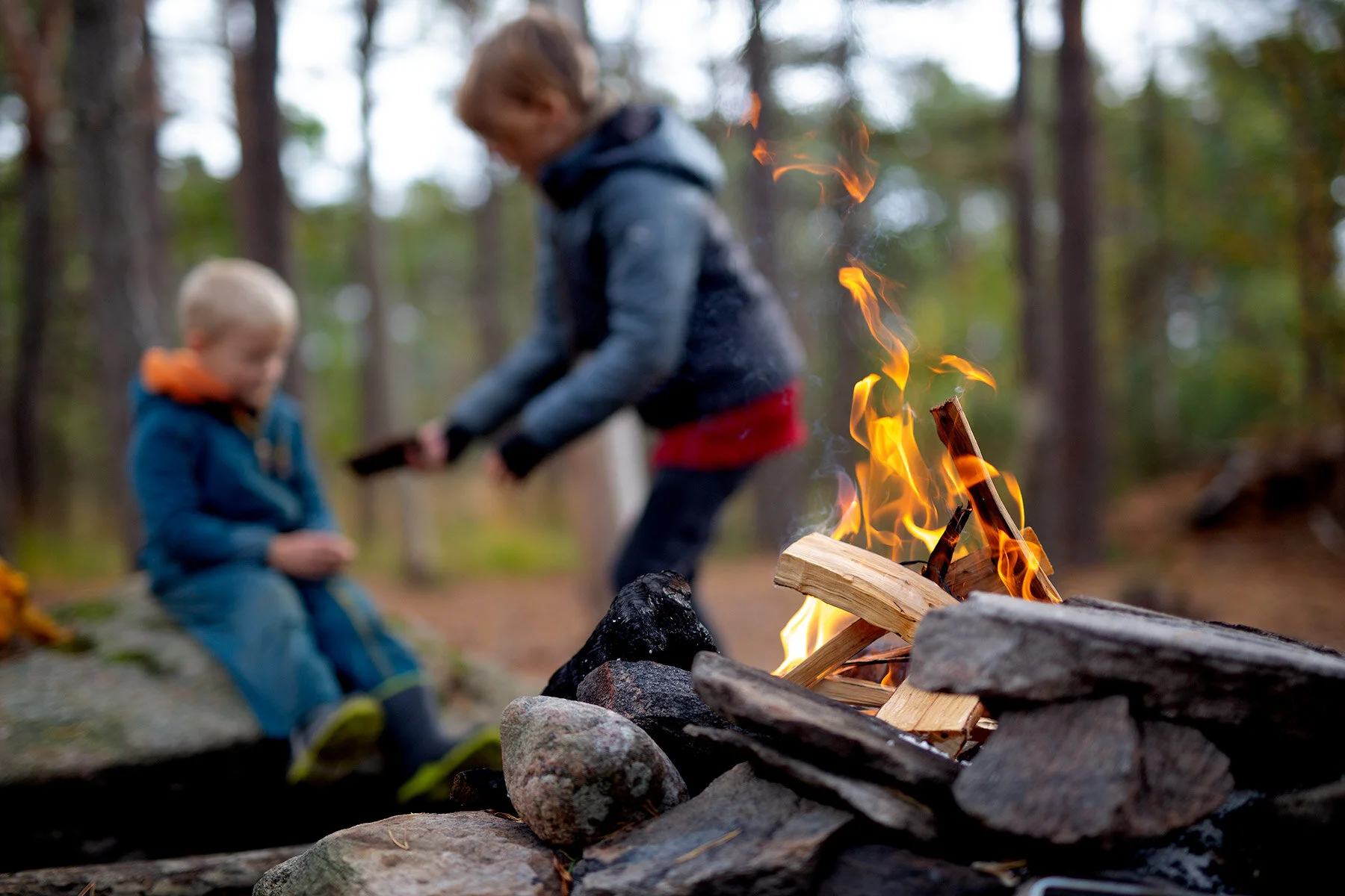 blogg-201008vabvindskyddet12.jpg