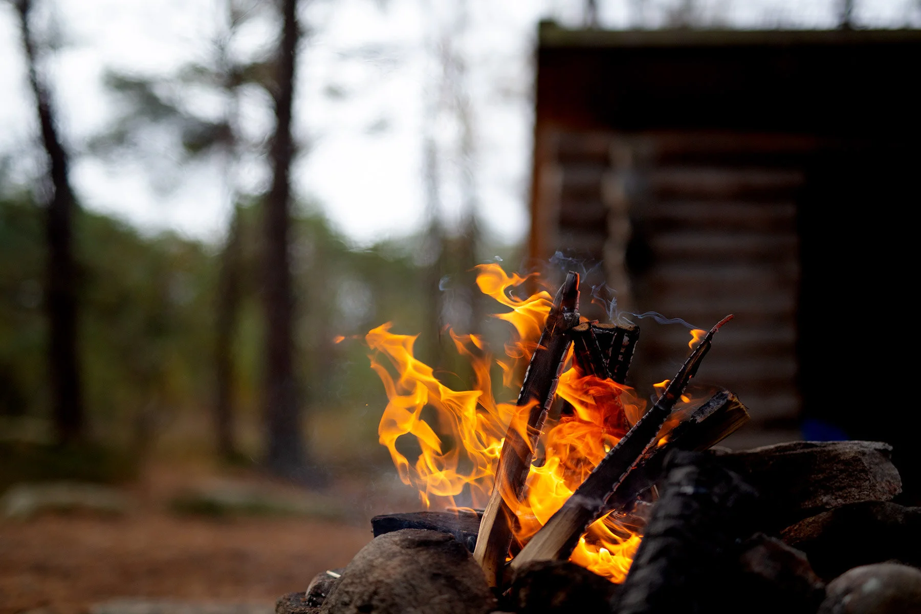 blogg-201008vabvindskyddet14.jpg