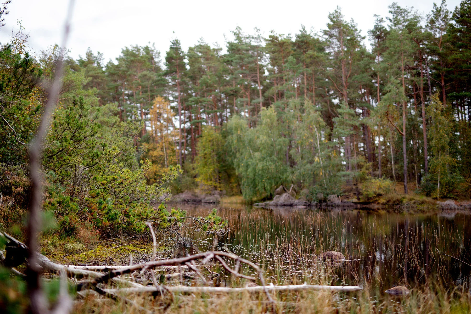 blogg-201008vabvindskyddet19.jpg