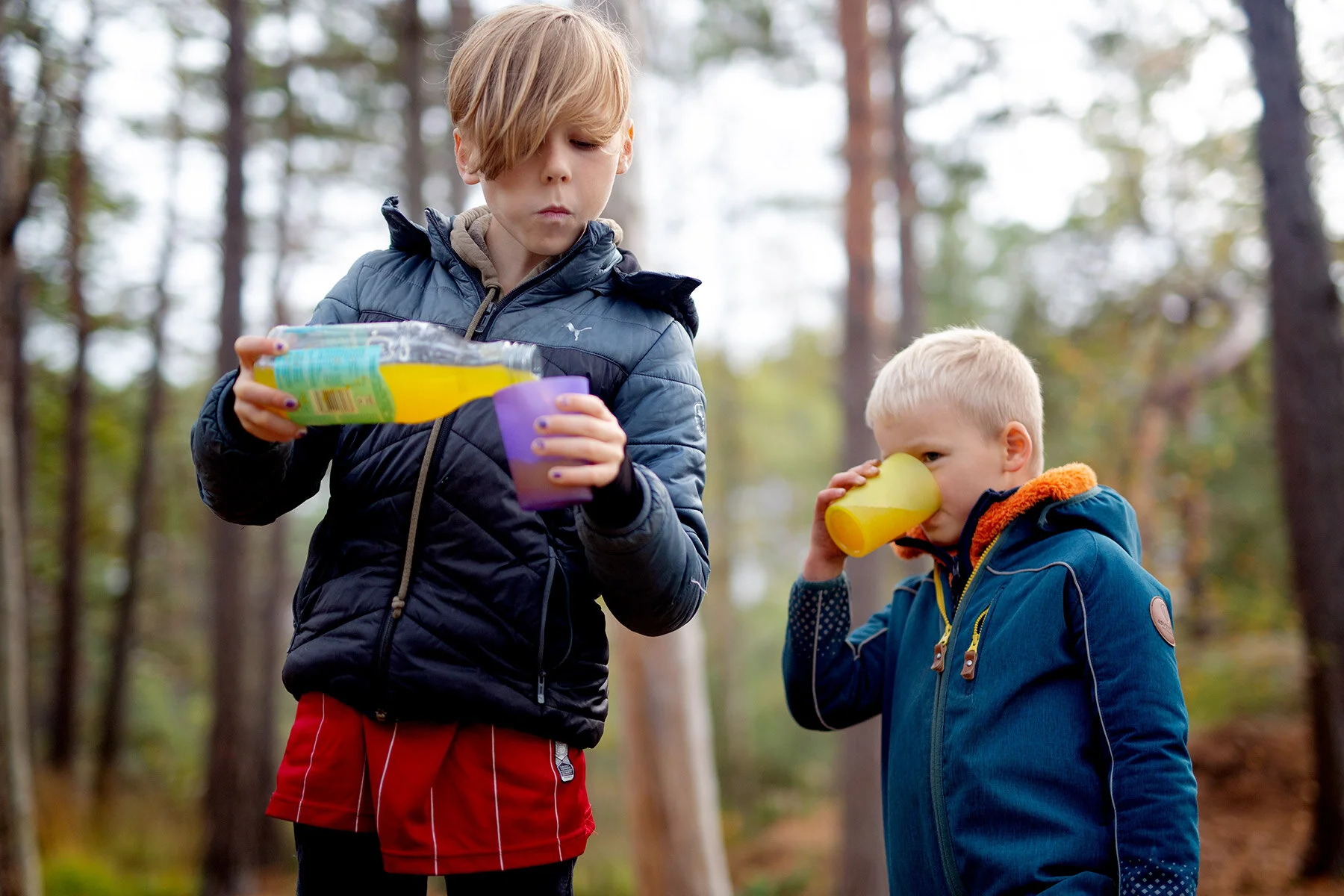 blogg-201008vabvindskyddet24.jpg