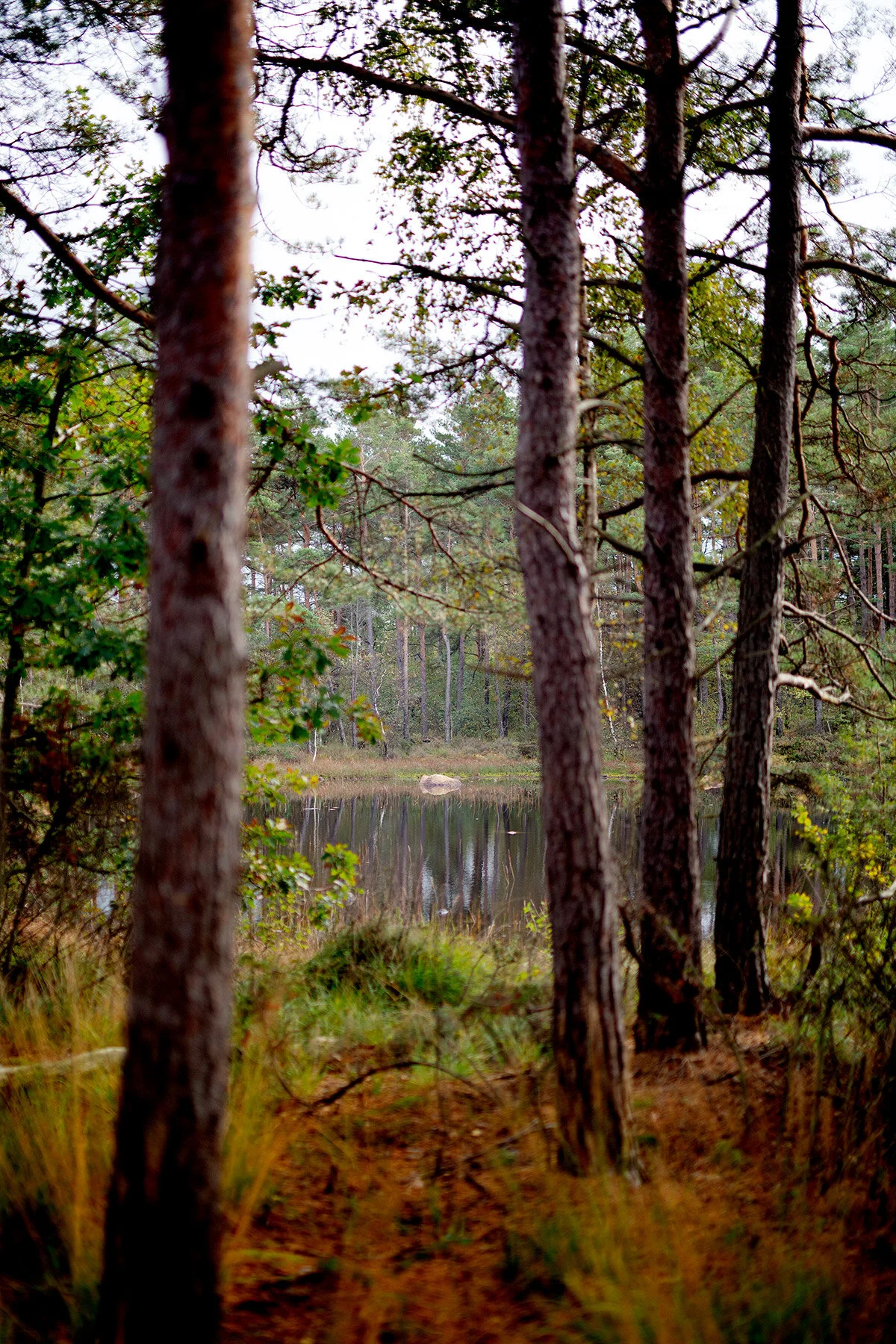 blogg-201008vabvindskyddet25.jpg