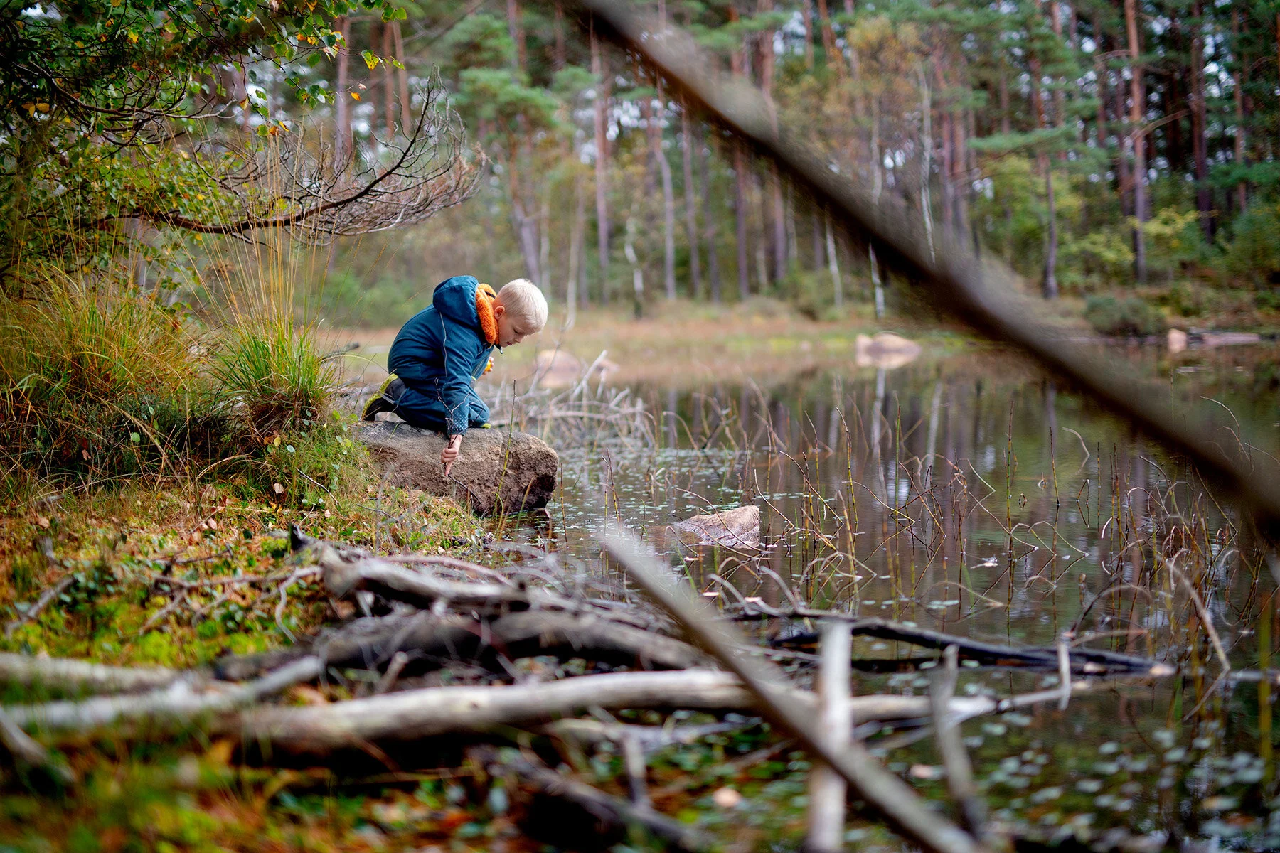 blogg-201008vabvindskyddet26.jpg