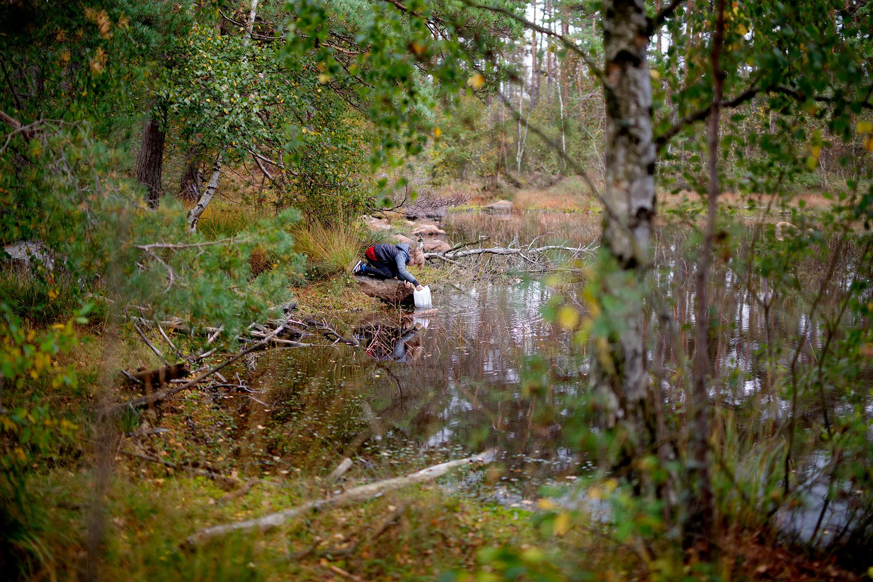 blogg-201008vabvindskyddet30.jpg