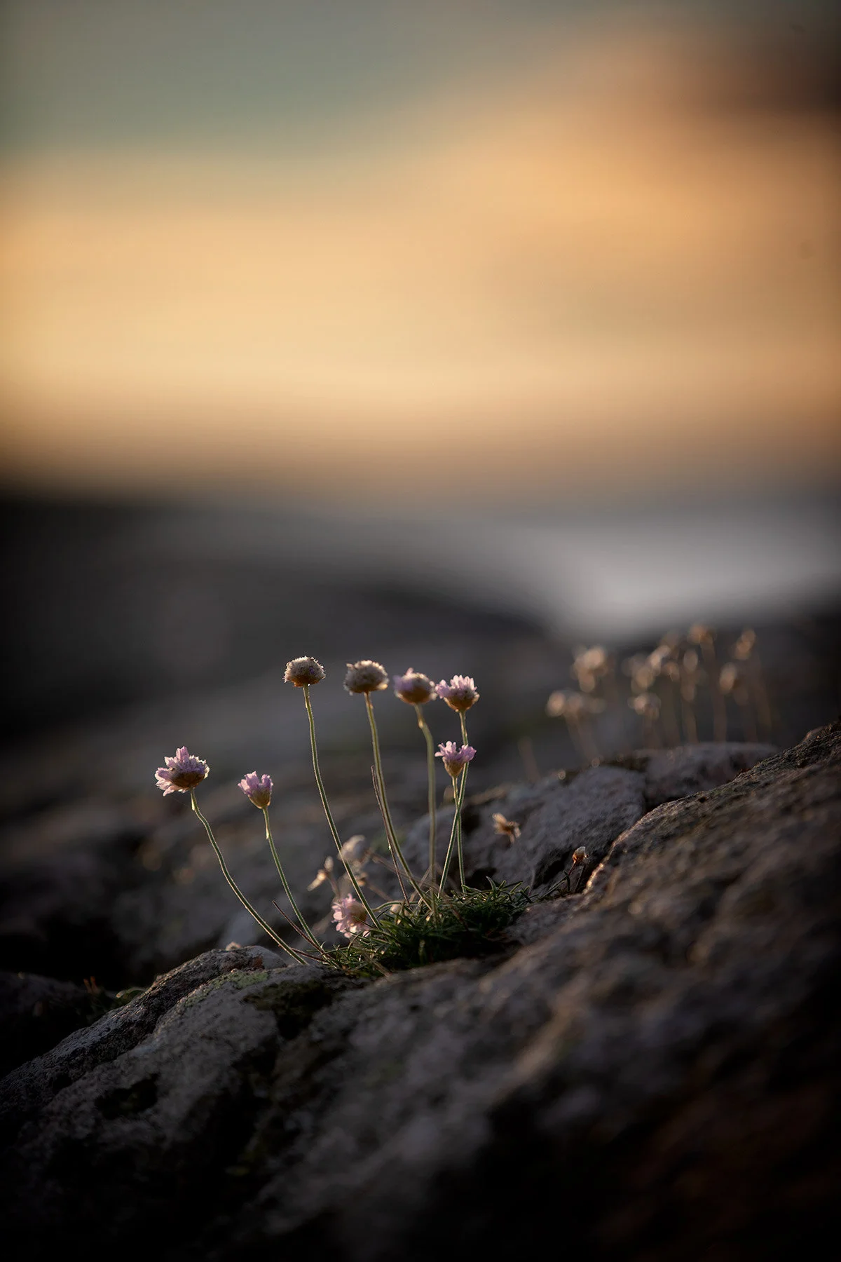 blogg-201013sunnerstrannamorgon4.jpg