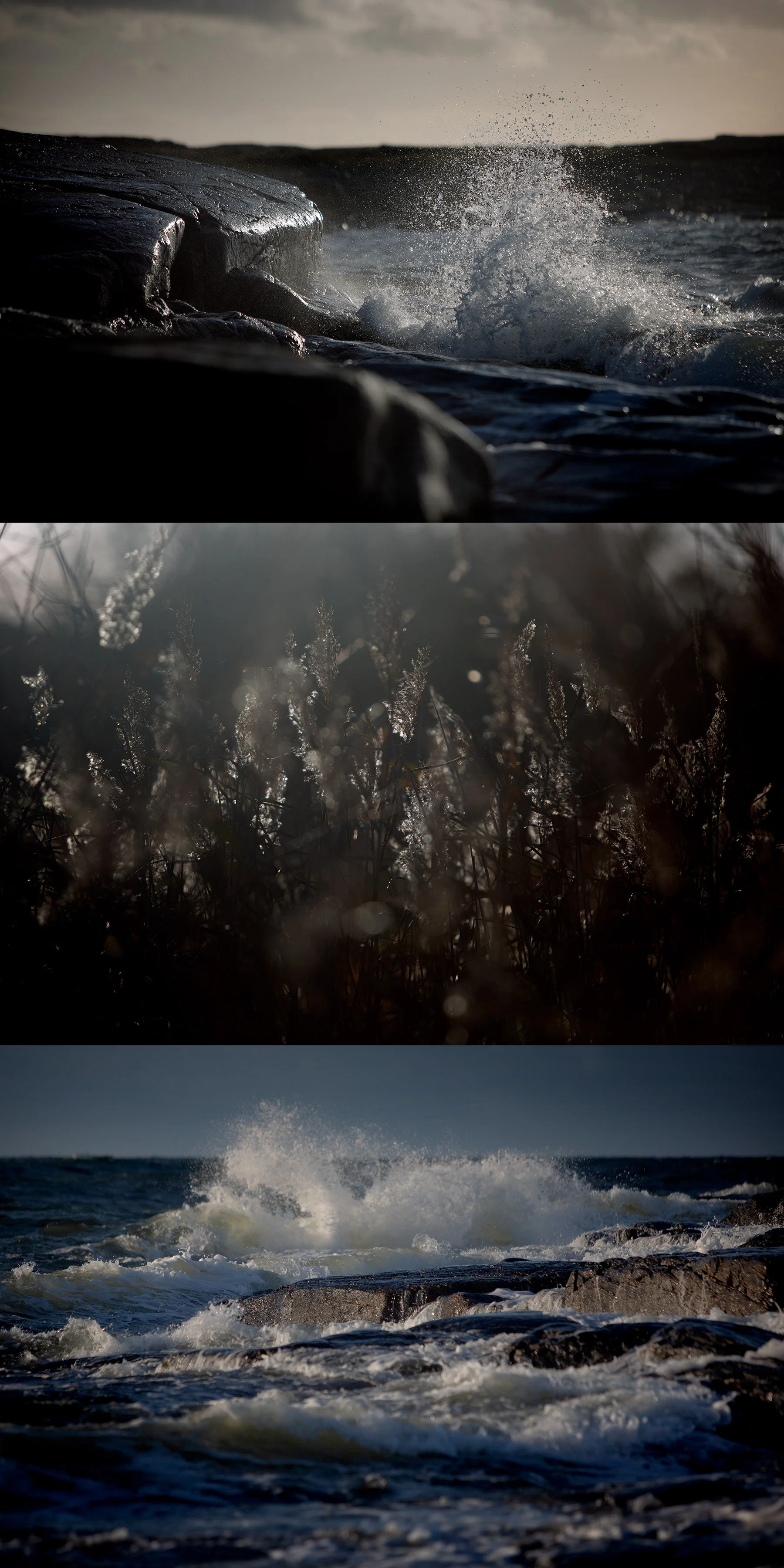 Havet stormar