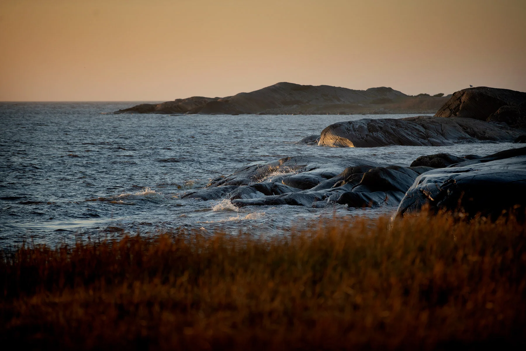 blogg-201106arnessonagnvall6.jpg