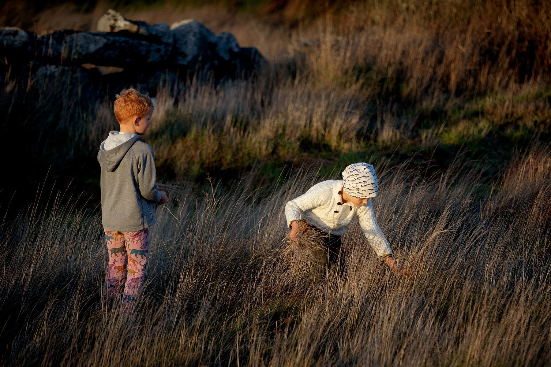 blogg-201106arnessonagnvall11.jpg