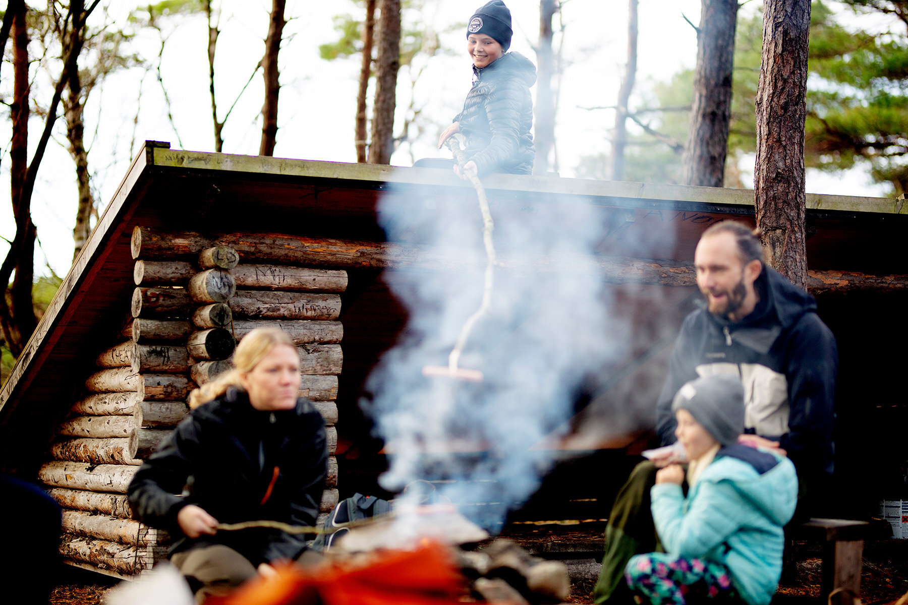 blogg-201108nordsvahnbrettesskogen1.jpg