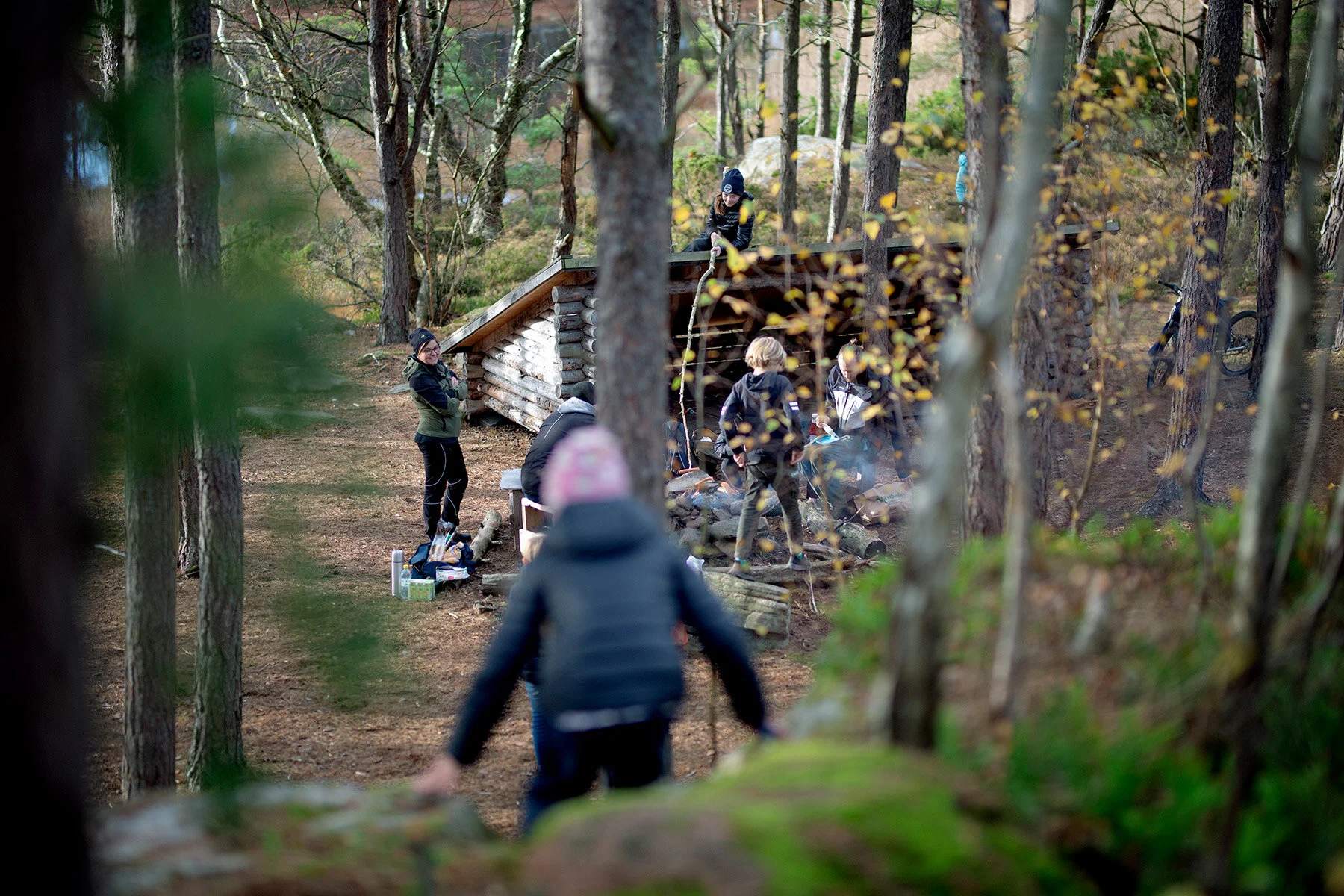 blogg-201108nordsvahnbrettesskogen5.jpg