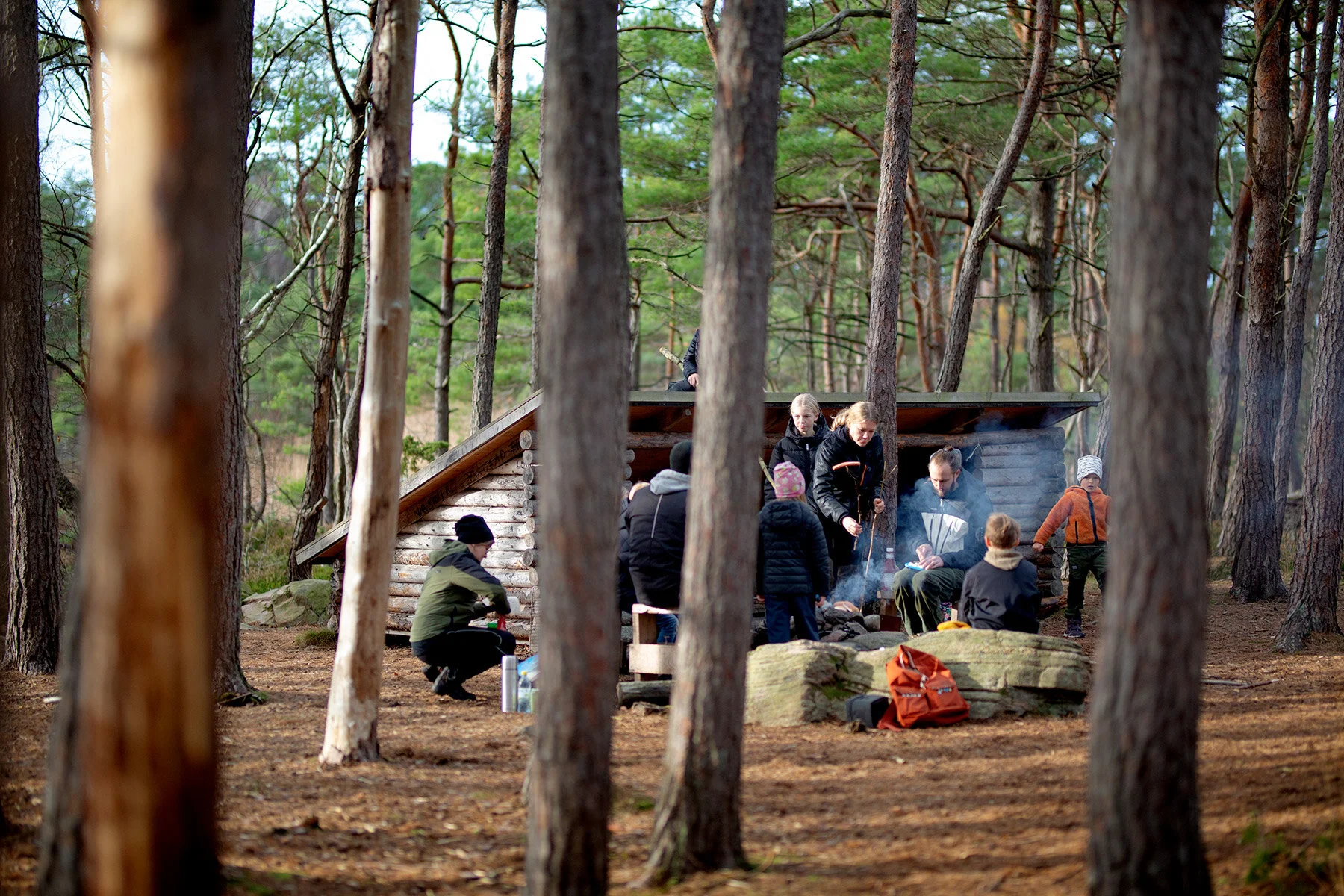 blogg-201108nordsvahnbrettesskogen7.jpg