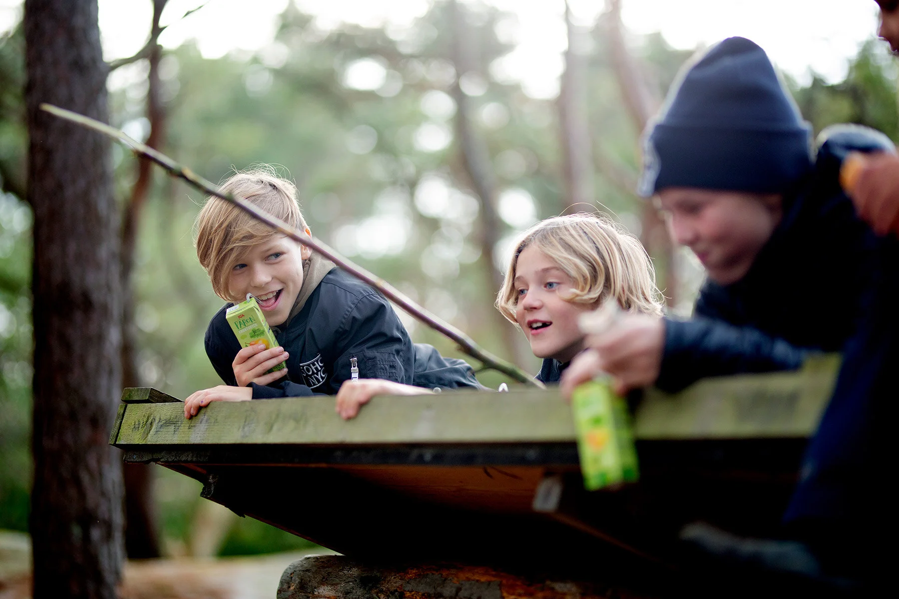 blogg-201108nordsvahnbrettesskogen8.jpg