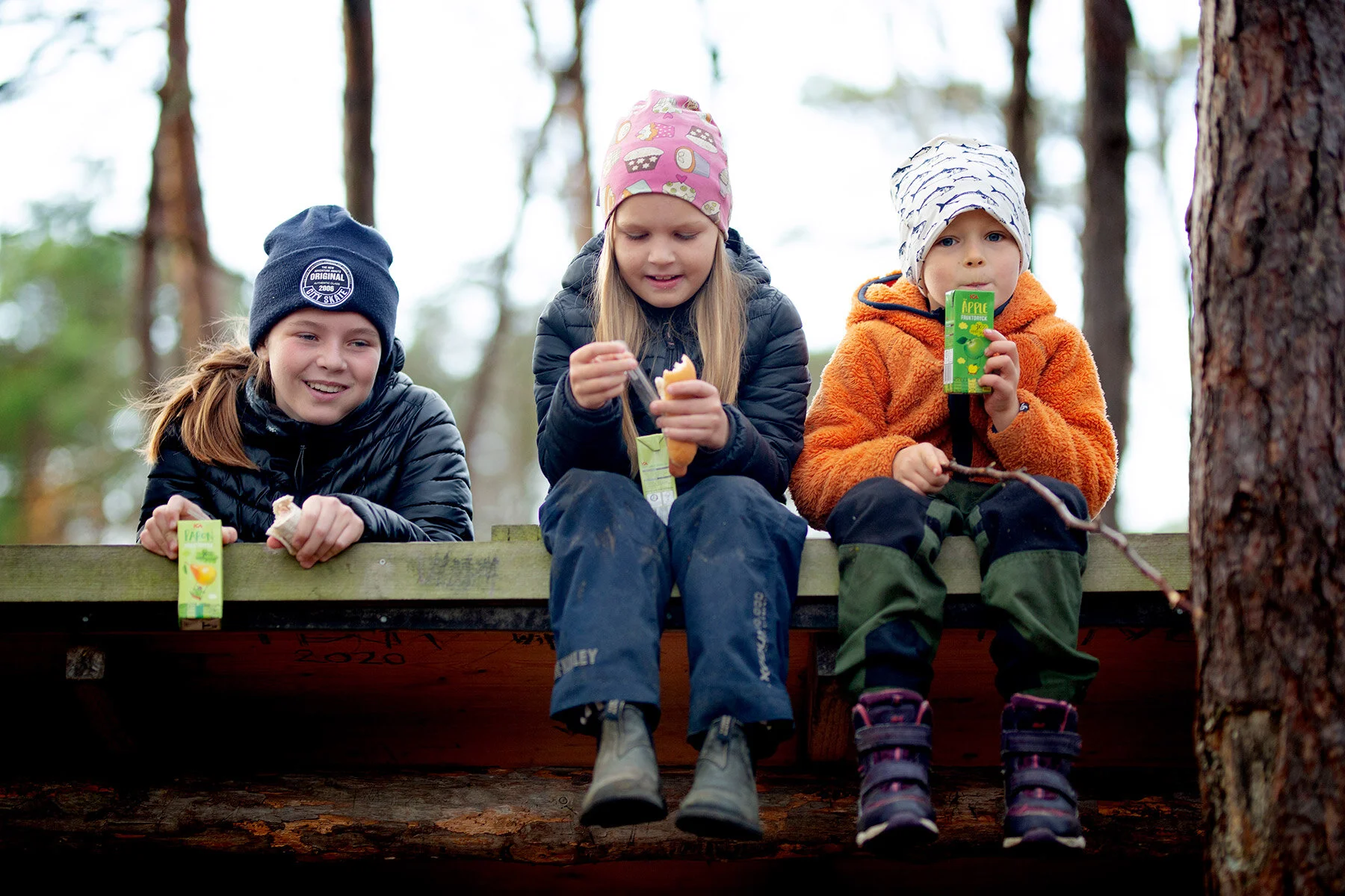 blogg-201108nordsvahnbrettesskogen10.jpg
