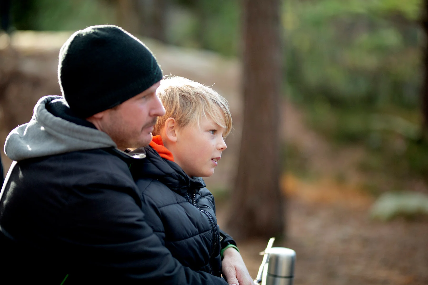 blogg-201108nordsvahnbrettesskogen12.jpg
