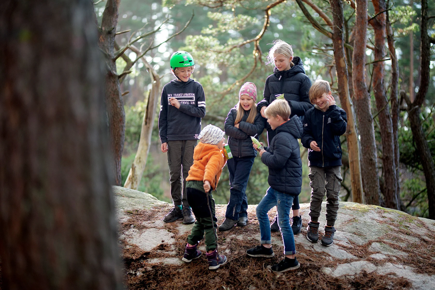 blogg-201108nordsvahnbrettesskogen13.jpg