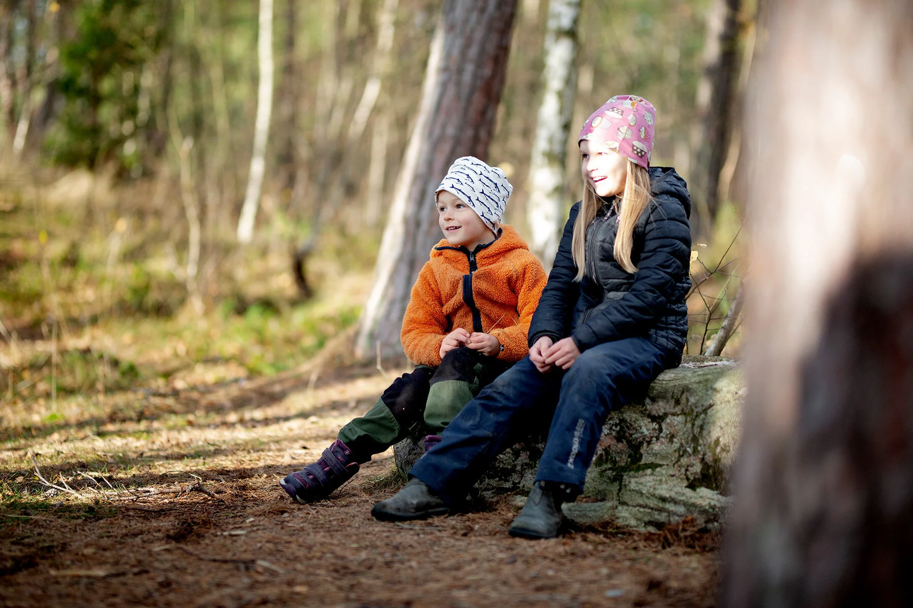 blogg-201108nordsvahnbrettesskogen15.jpg