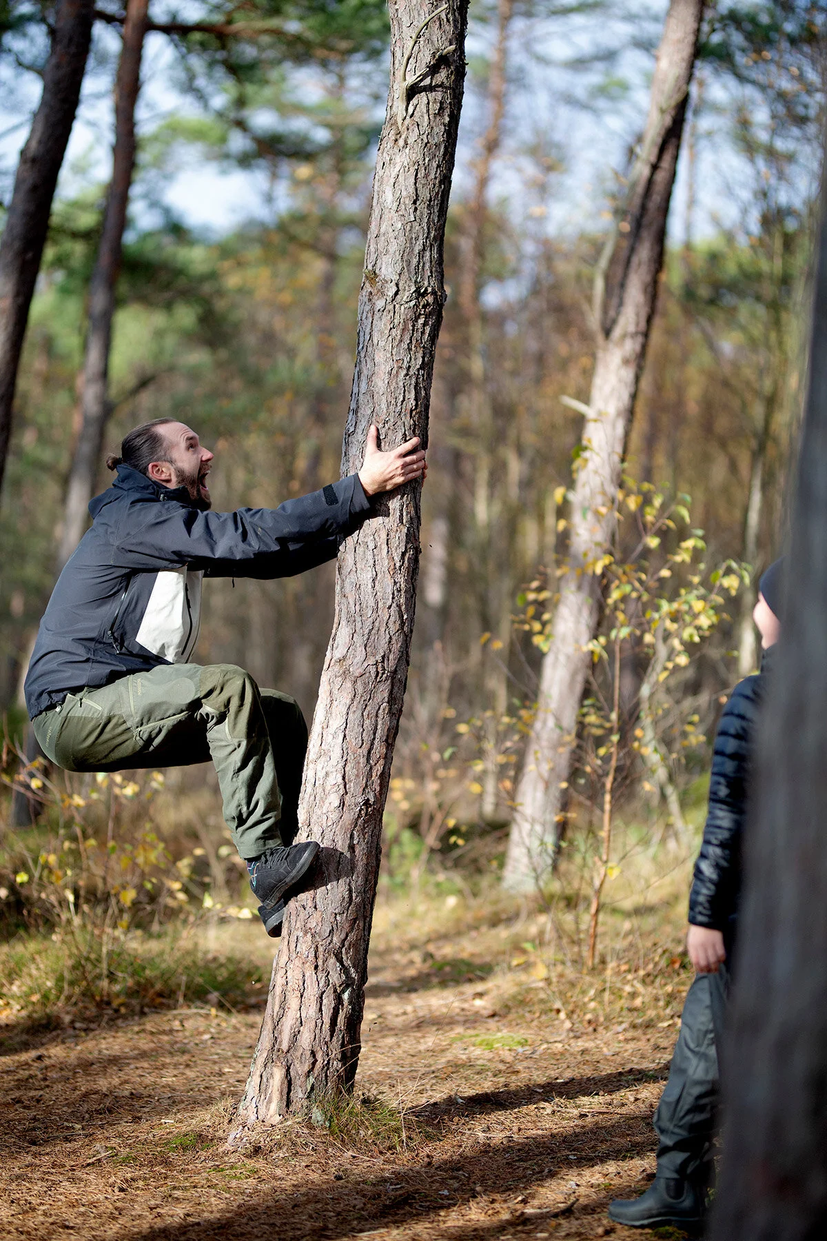 blogg-201108nordsvahnbrettesskogen14.jpg