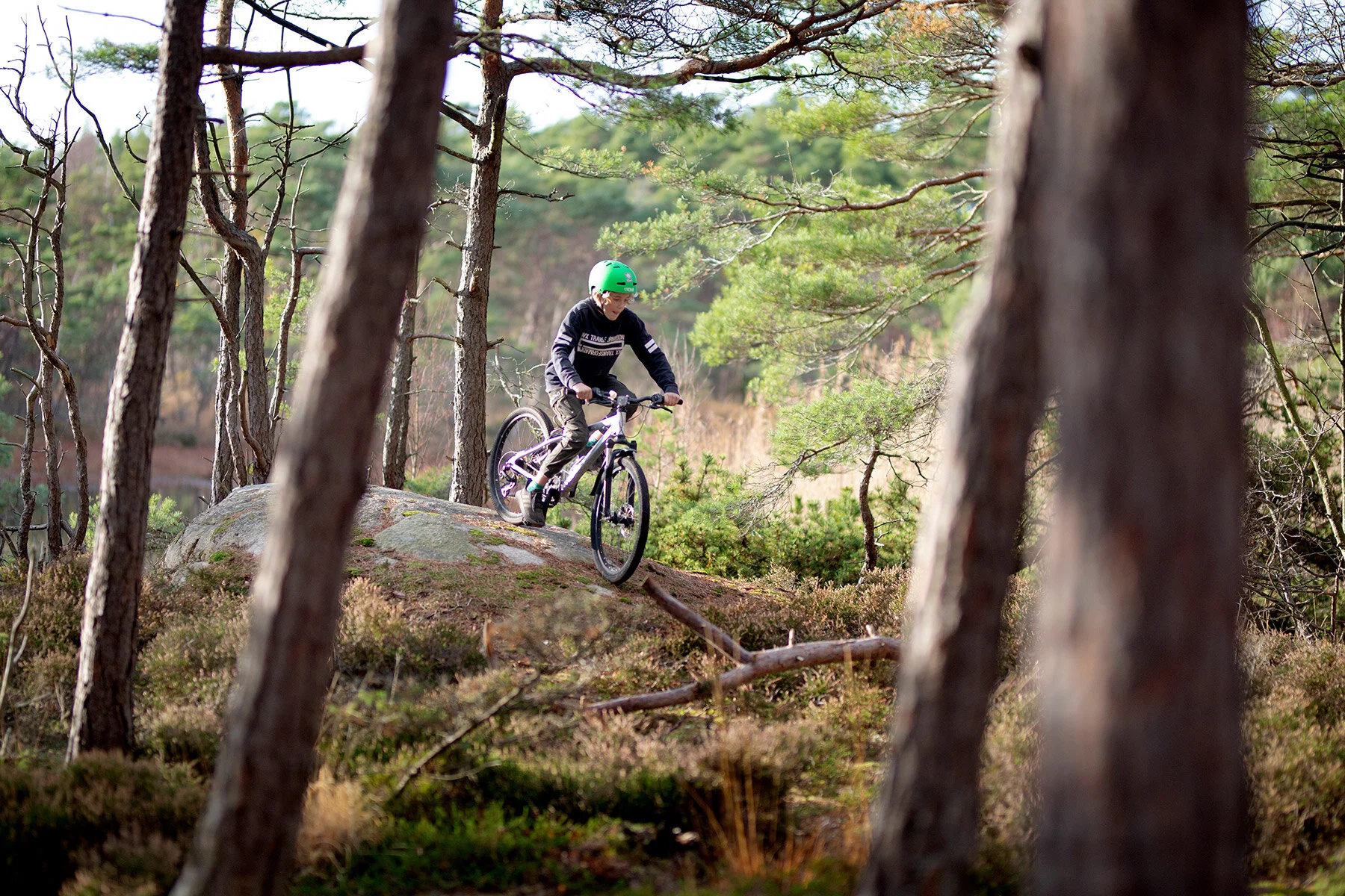blogg-201108nordsvahnbrettesskogen16.jpg