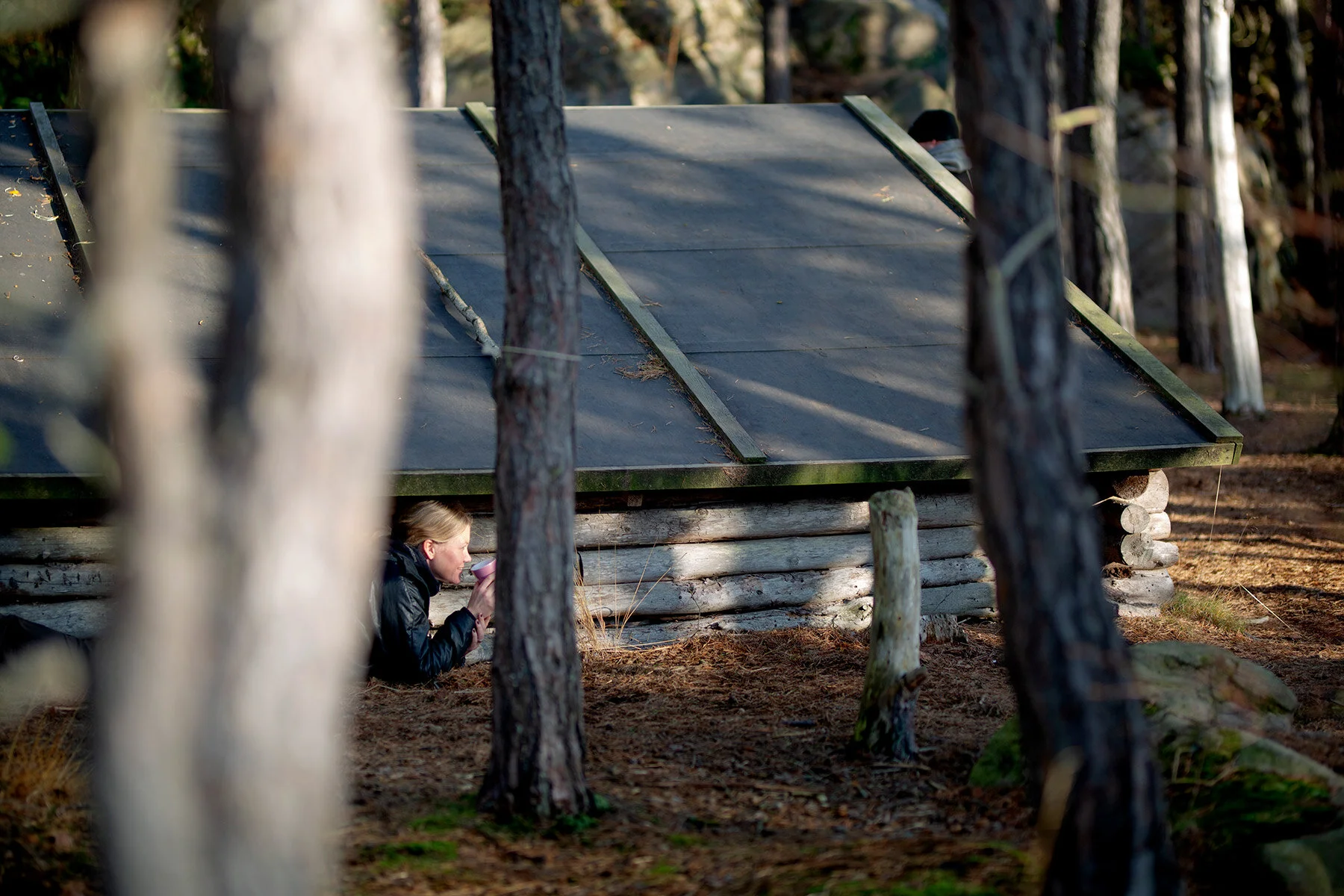 blogg-201108nordsvahnbrettesskogen21.jpg