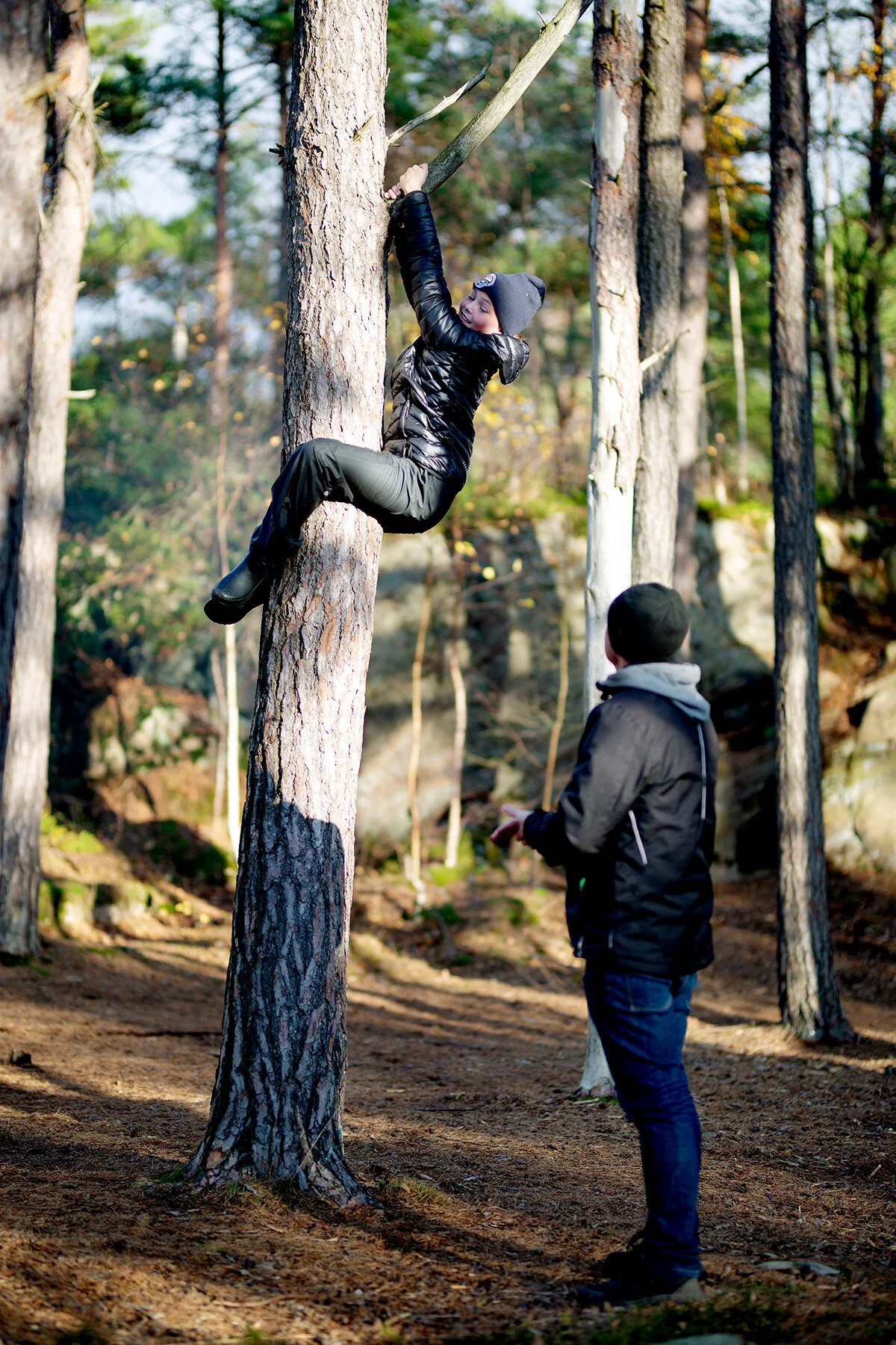 blogg-201108nordsvahnbrettesskogen24.jpg