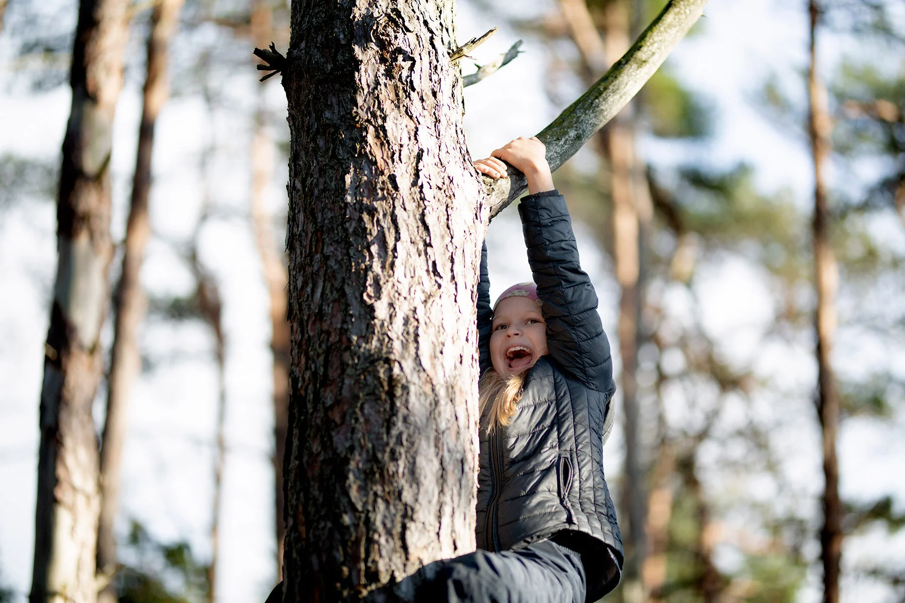 blogg-201108nordsvahnbrettesskogen26.jpg