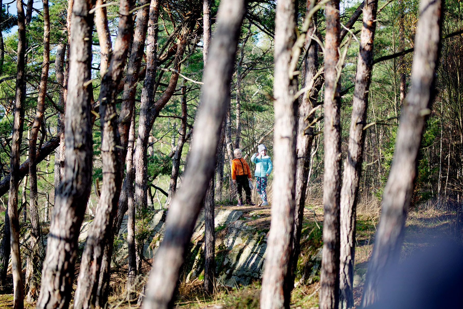 blogg-201108nordsvahnbrettesskogen25.jpg