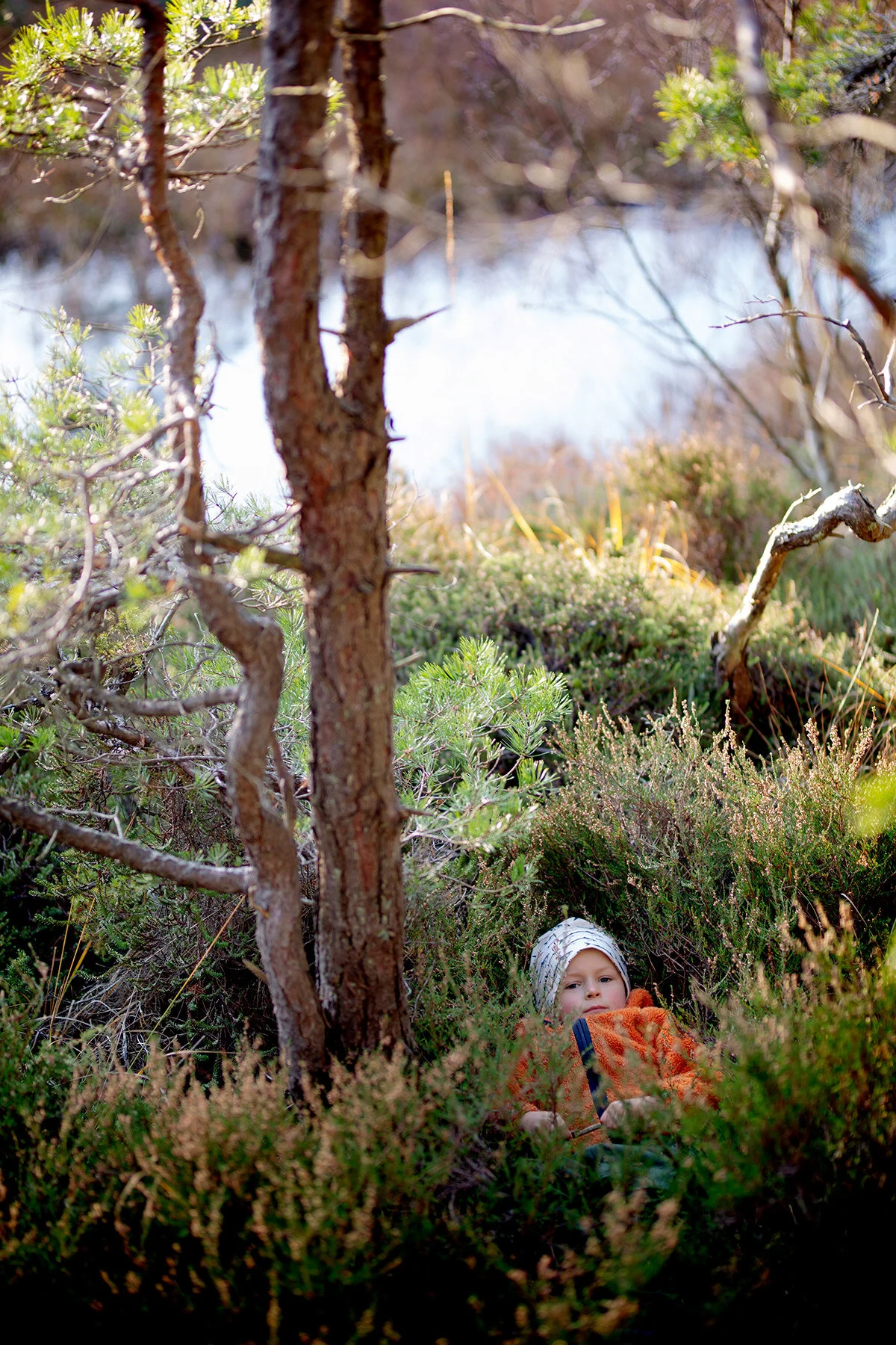 blogg-201108nordsvahnbrettesskogen31.jpg