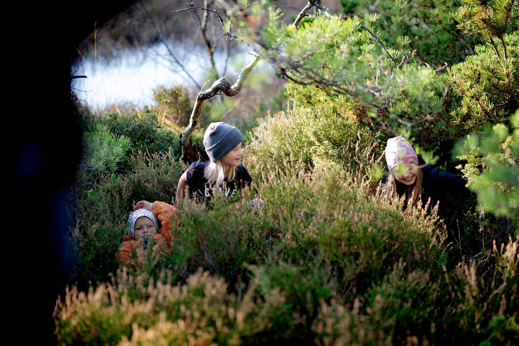 blogg-201108nordsvahnbrettesskogen32.jpg