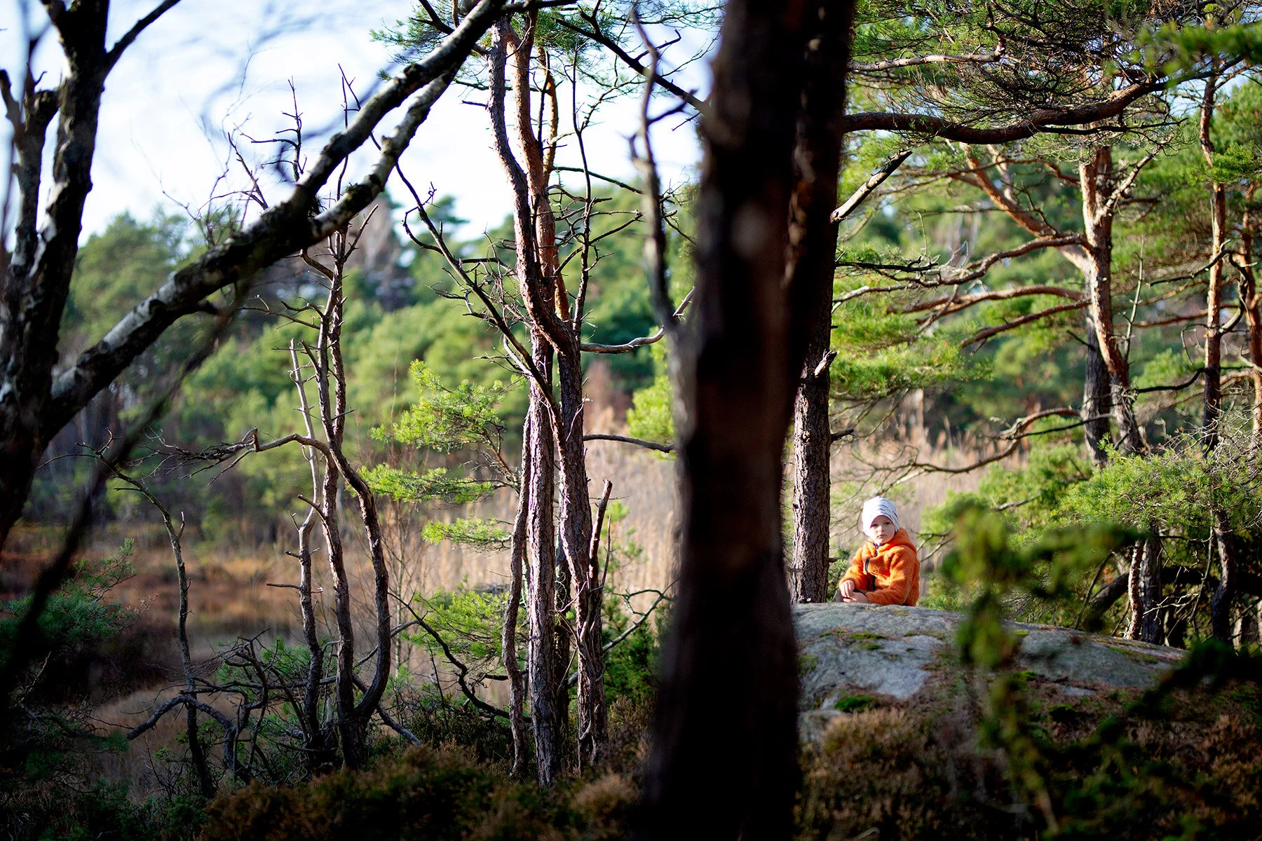 blogg-201108nordsvahnbrettesskogen34.jpg