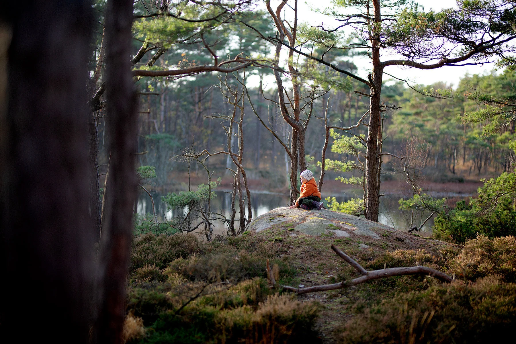 blogg-201108nordsvahnbrettesskogen36.jpg