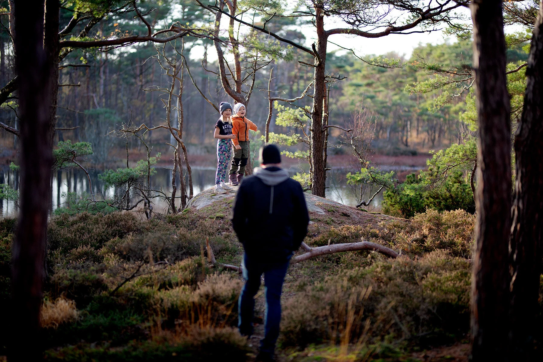 blogg-201108nordsvahnbrettesskogen38.jpg