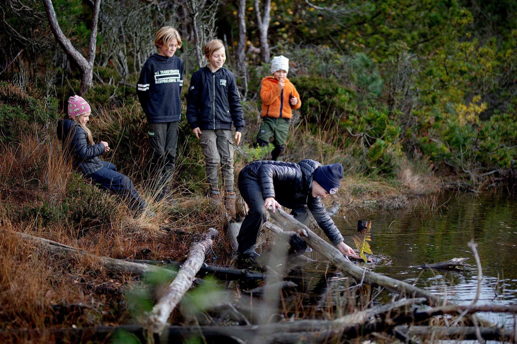 blogg-201108nordsvahnbrettesskogen44.jpg