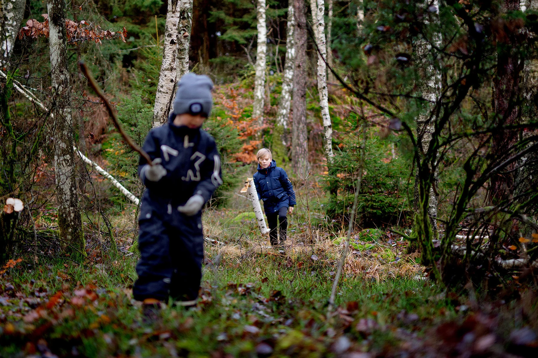 blogg-201114ambjorntorpskogen1.jpg