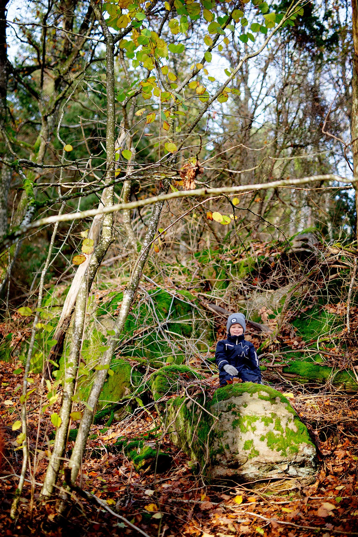blogg-201114ambjorntorpskogen6.jpg