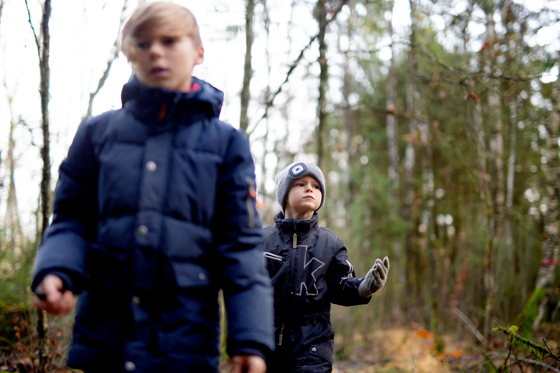 blogg-201114ambjorntorpskogen7.jpg
