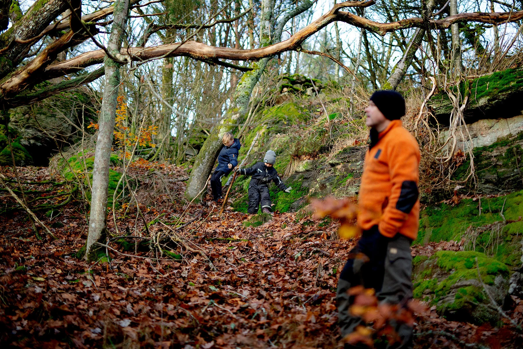 blogg-201114ambjorntorpskogen8.jpg