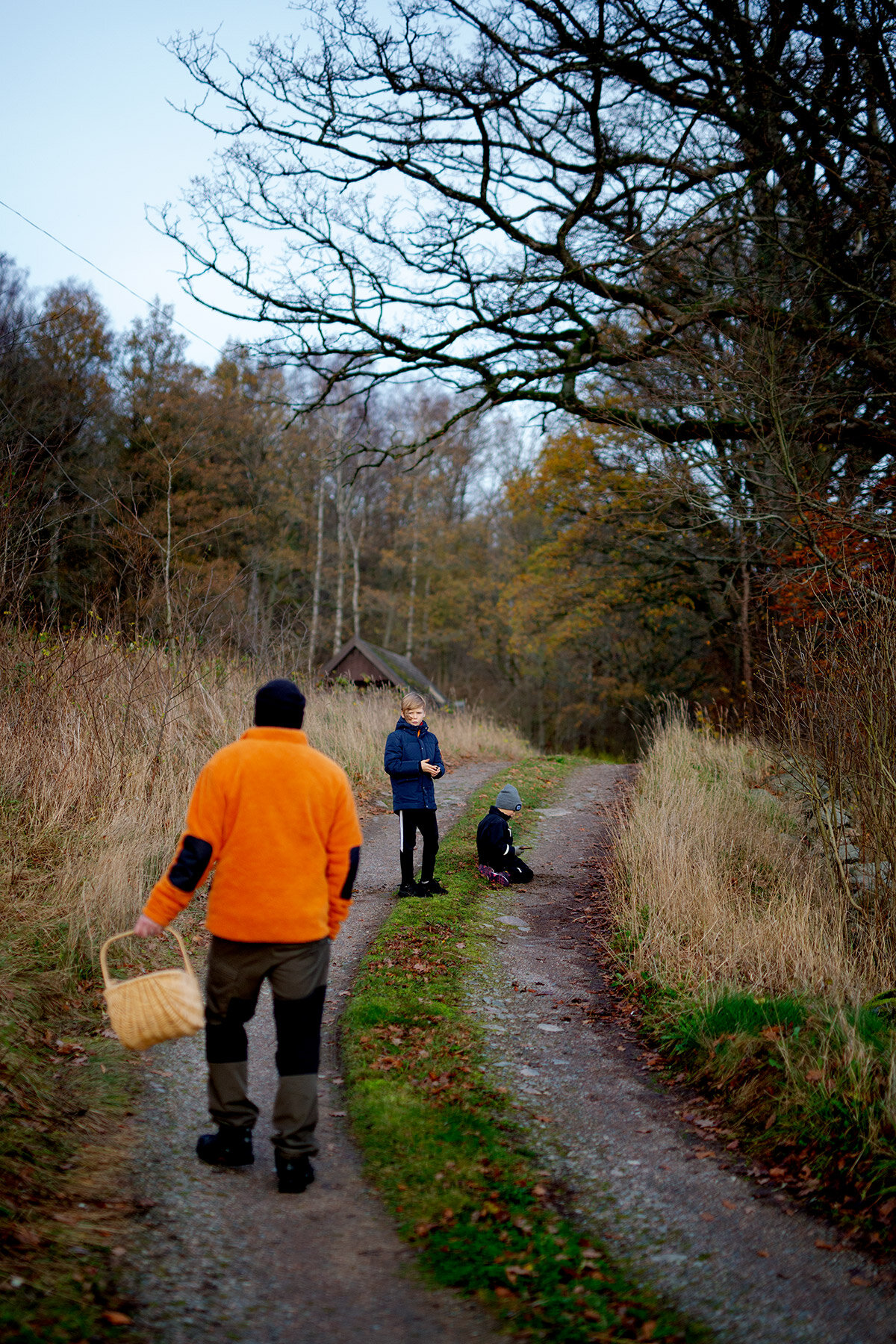 blogg-201114ambjorntorpskogen16.jpg